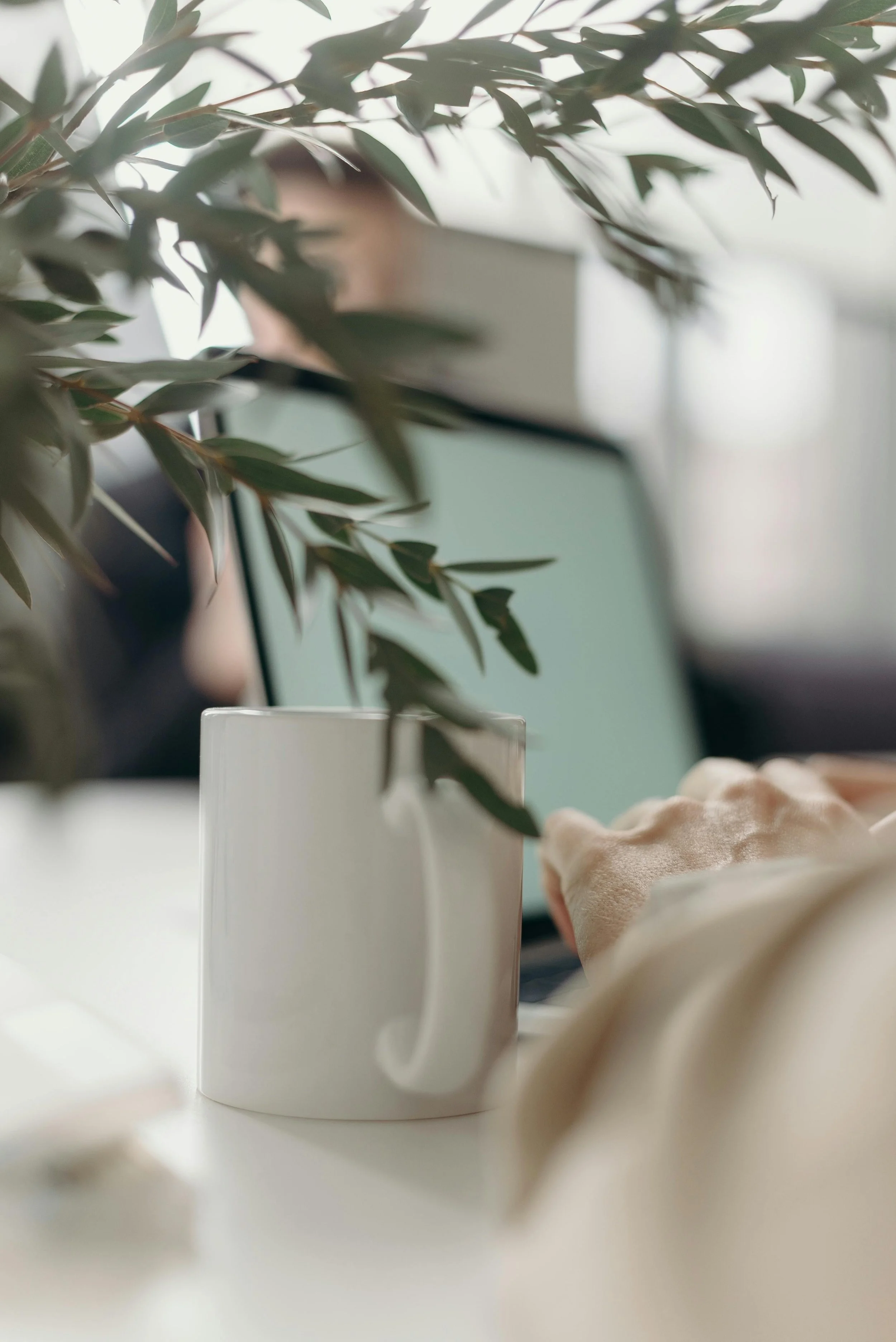 Soft botanical background — contact Elizabeth Gordon Psychology for eating disorder and anxiety therapy in Silver Spring, MD