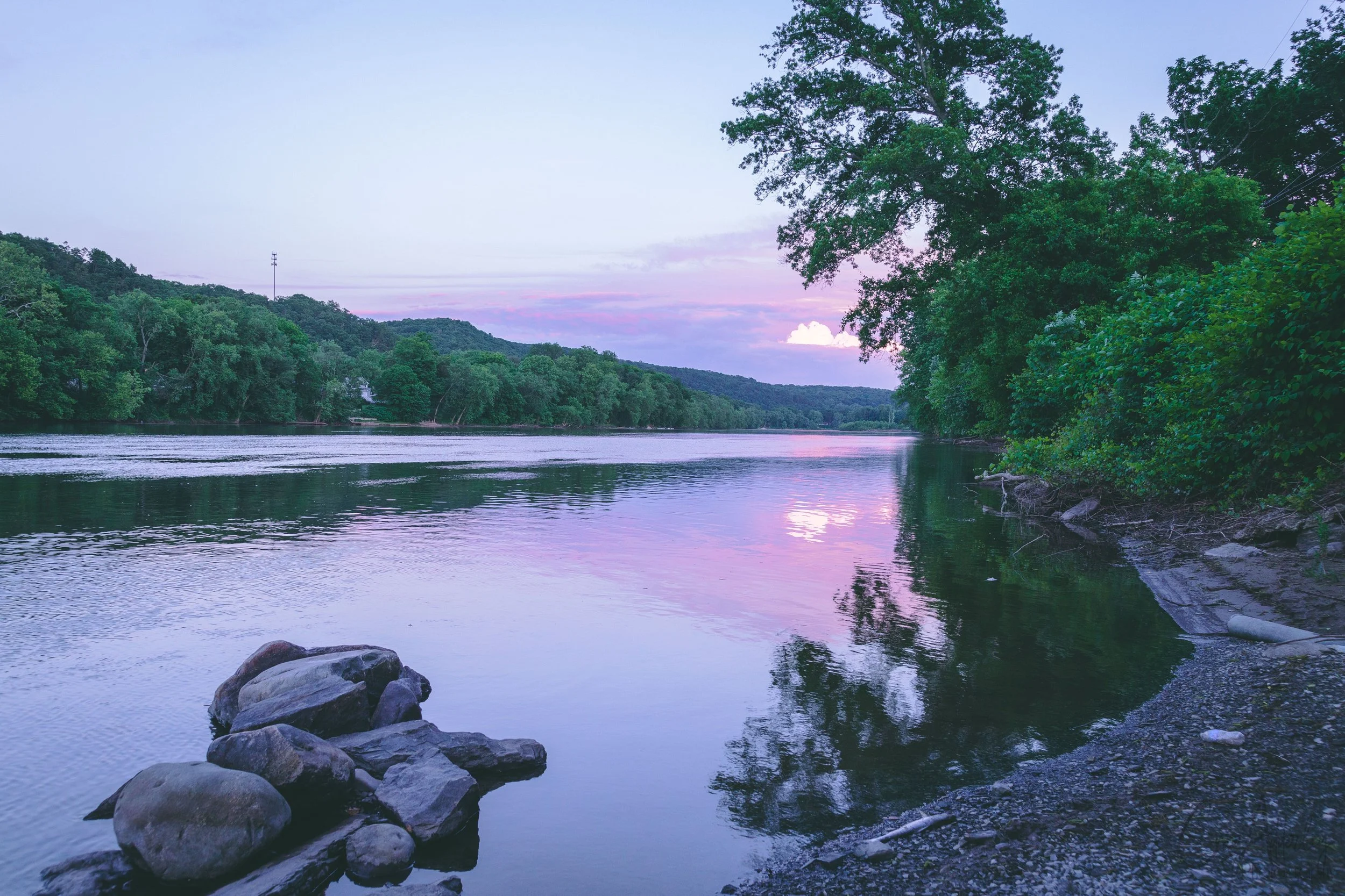 Eating disorder and anxiety therapy near Rockville, MD — Dr. Elizabeth Gordon, PsyD, in-person in Silver Spring and virtual throughout Maryland