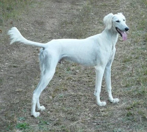 Miles at DoubleTime's