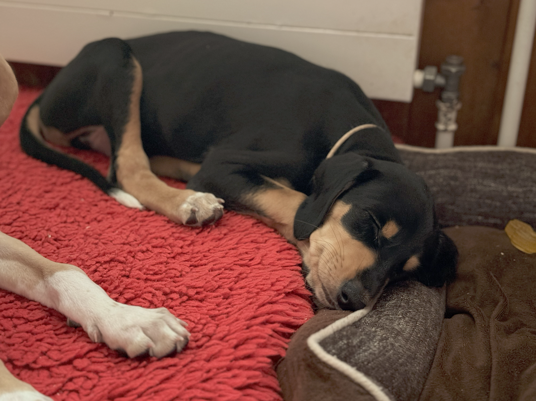 Screenshot 2026-02-25 at 2.48.49.png