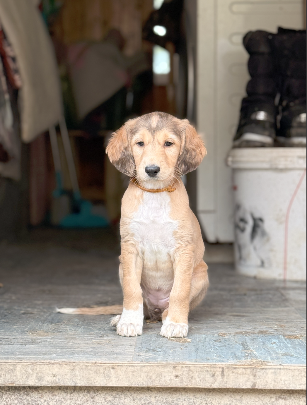 Screenshot 2026-02-25 at 2.49.53.png