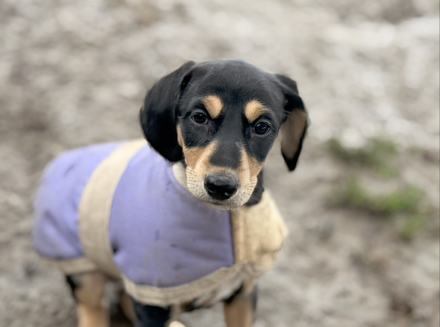 Screenshot 2026-02-25 at 2.51.37.png