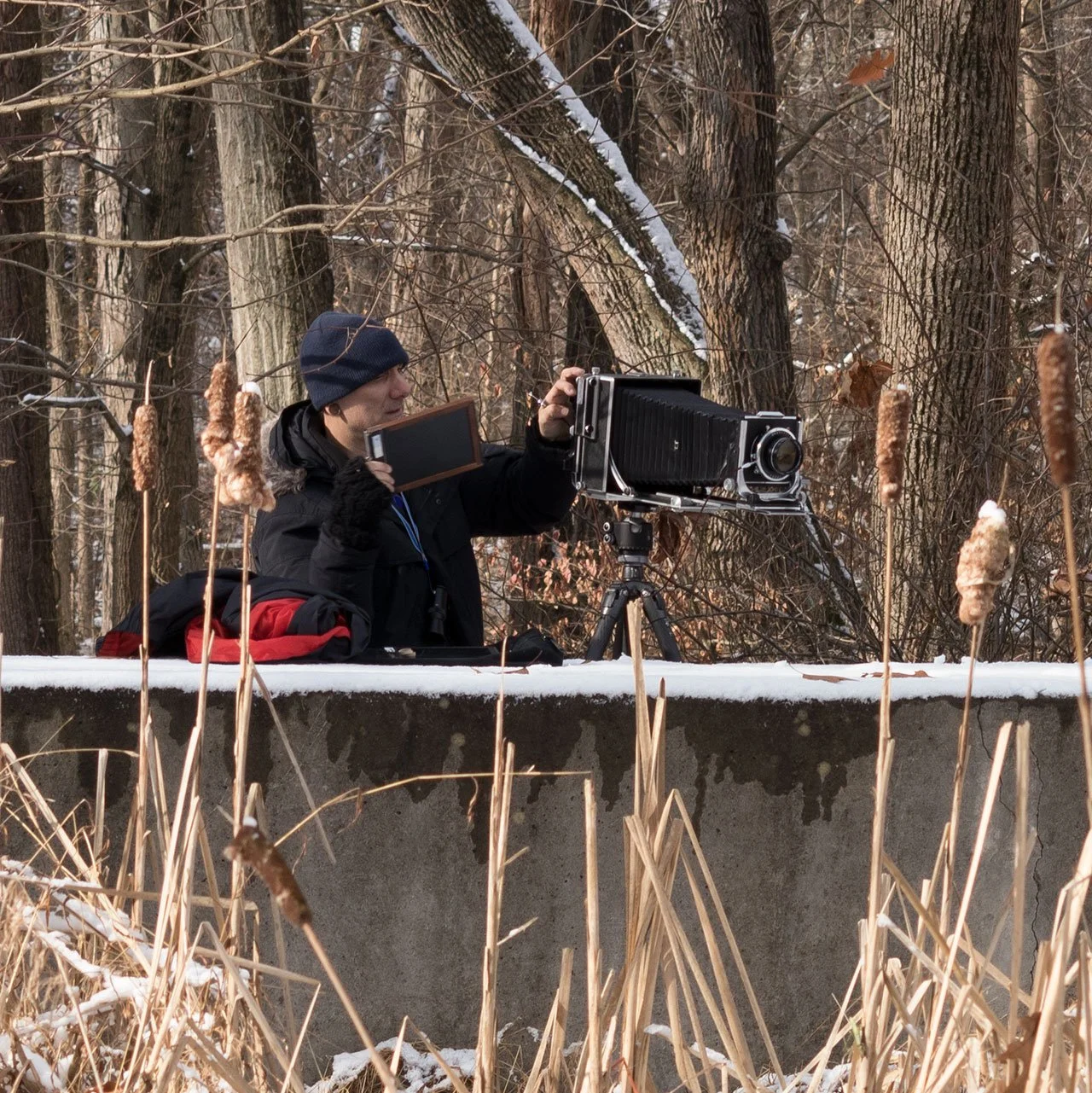 A person in winter clothing and a blue beanie operating a large camera on a tripod in a snow-covered forest.