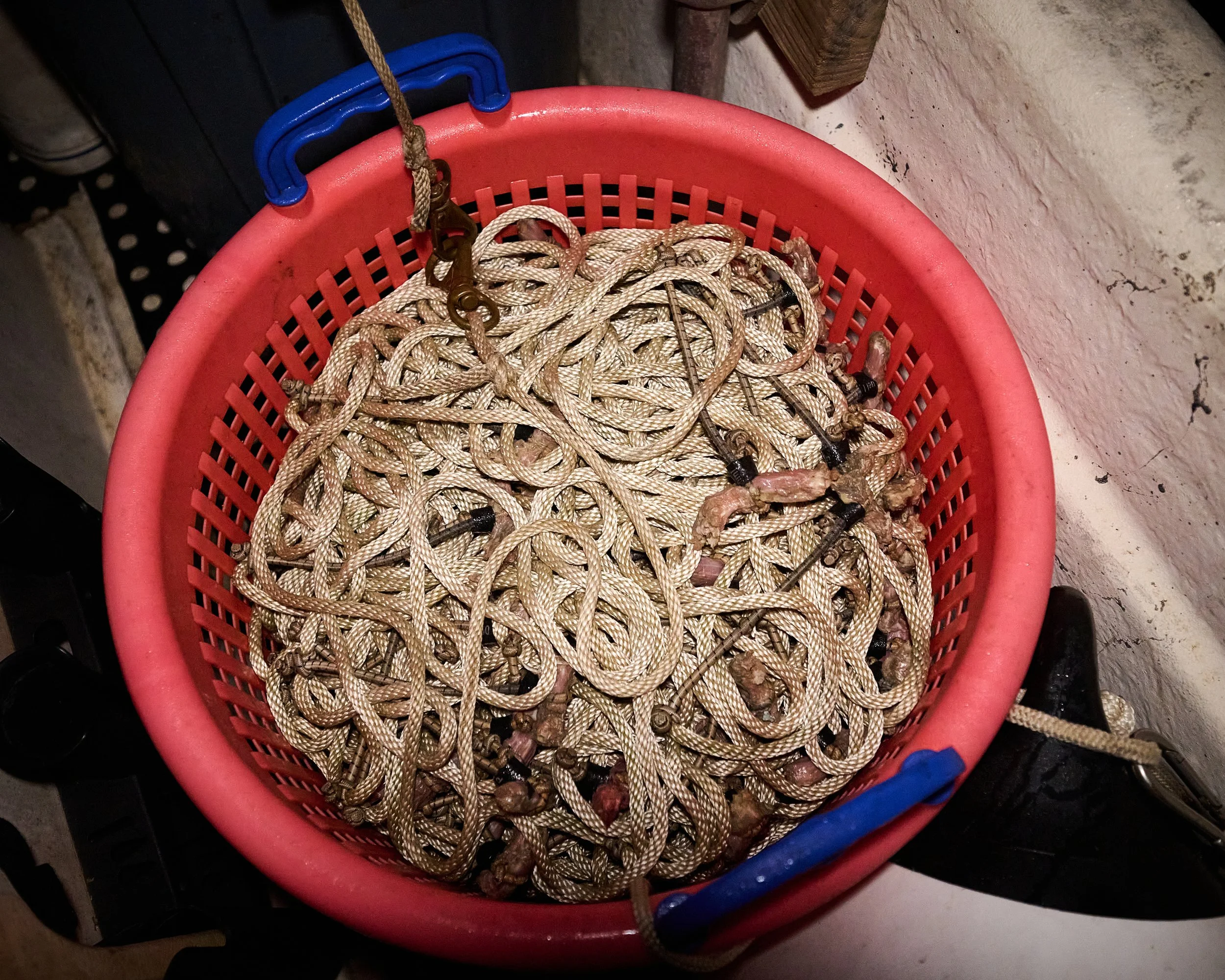 A red plastic basket filled with tangled ropes and metal hooks, hanging from a nail on a wall.