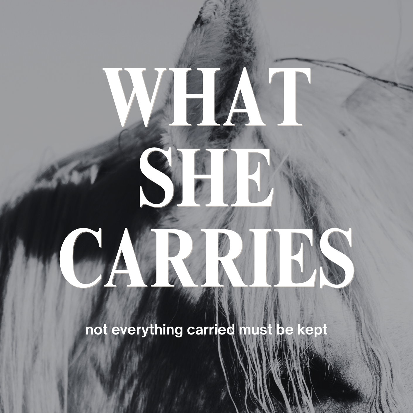 Close-up of a horse's face with the quote 'What she carries, not everything carried must be kept' overlaid.