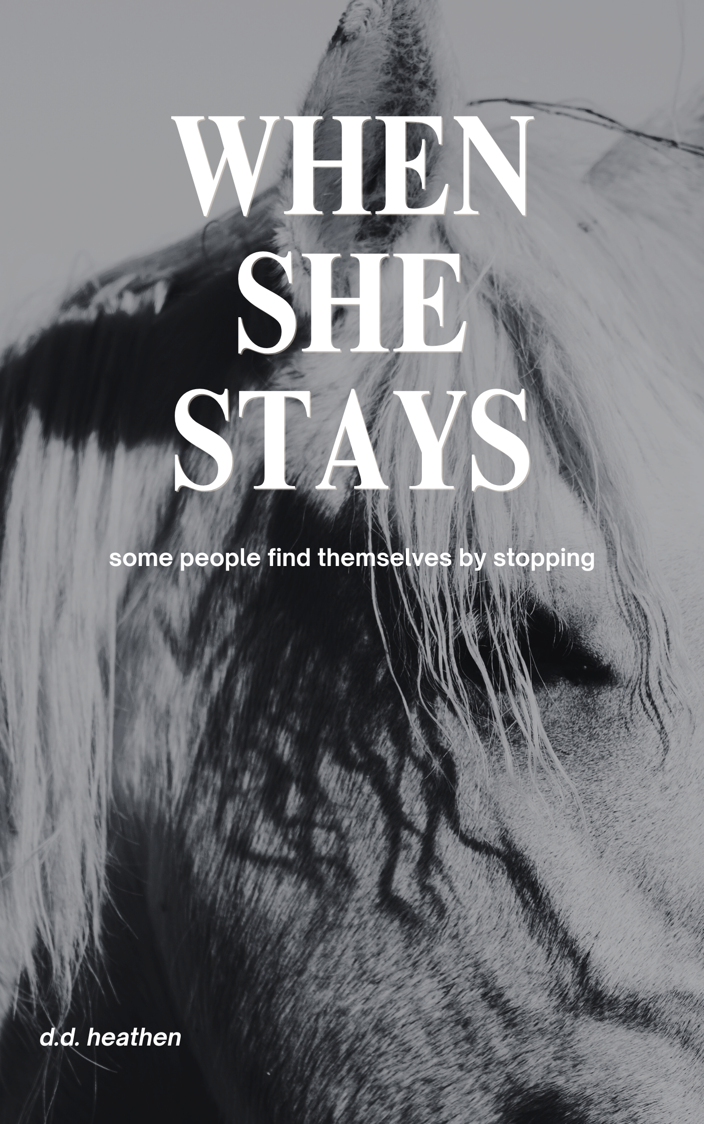 Close-up of a horse's face with the quote 'some people find themselves by stopping' overlaid.