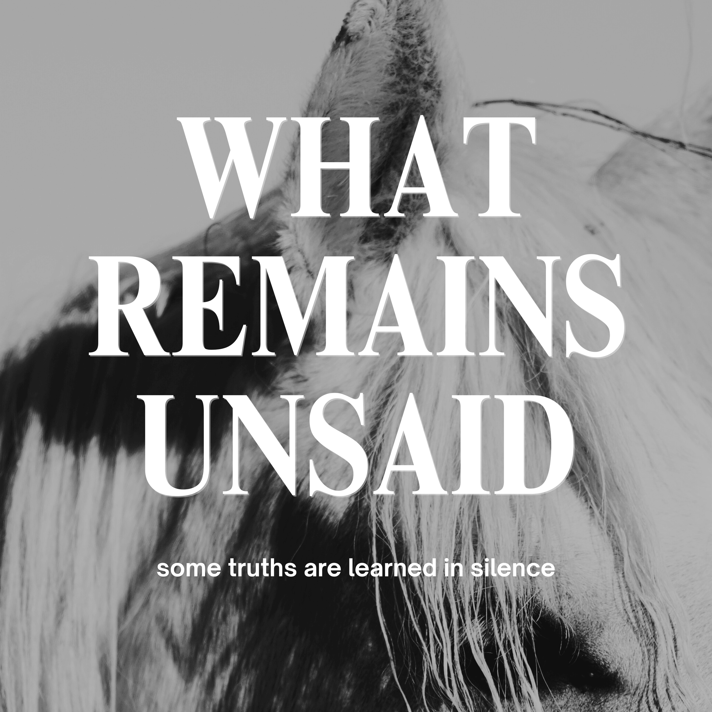 Black and white close-up of a horse's face with text overlay that reads 'What remains unsaid' and smaller text that says 'some truths are learned in silence.'