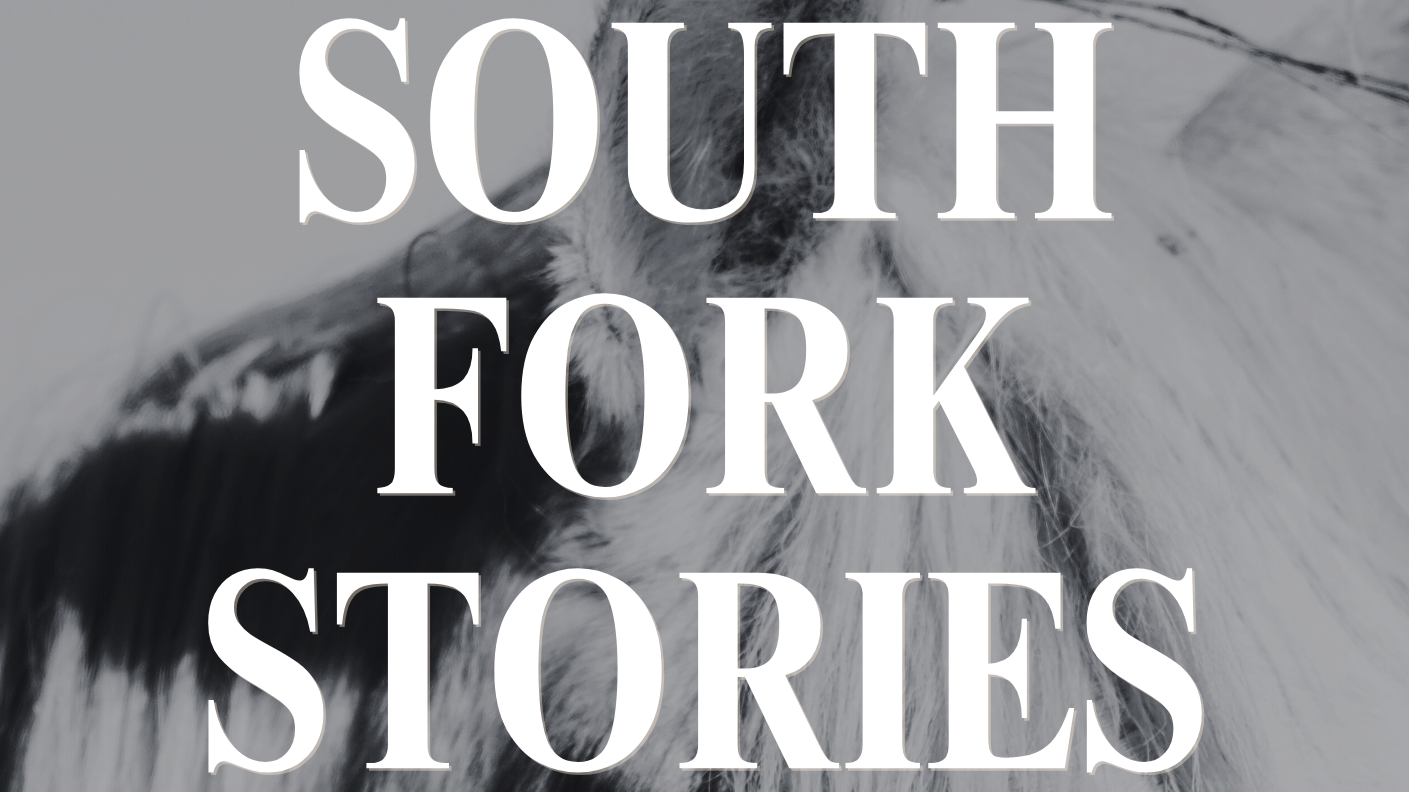 South Fork Stories