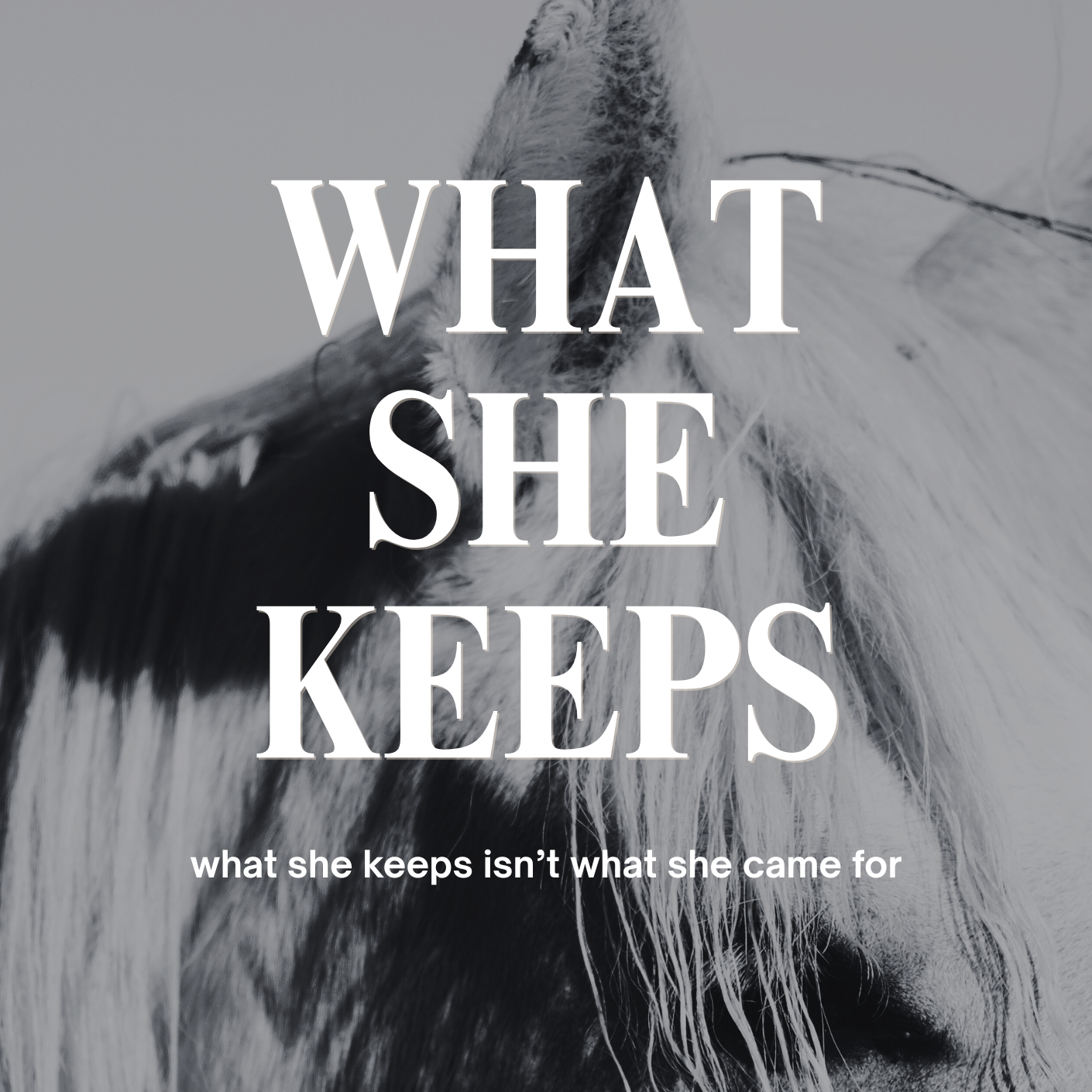 Close-up of a horse's face with the text 'WHAT SHE KEEPS' and the subtitle 'what she keeps isn’t what she came for' overlaid.