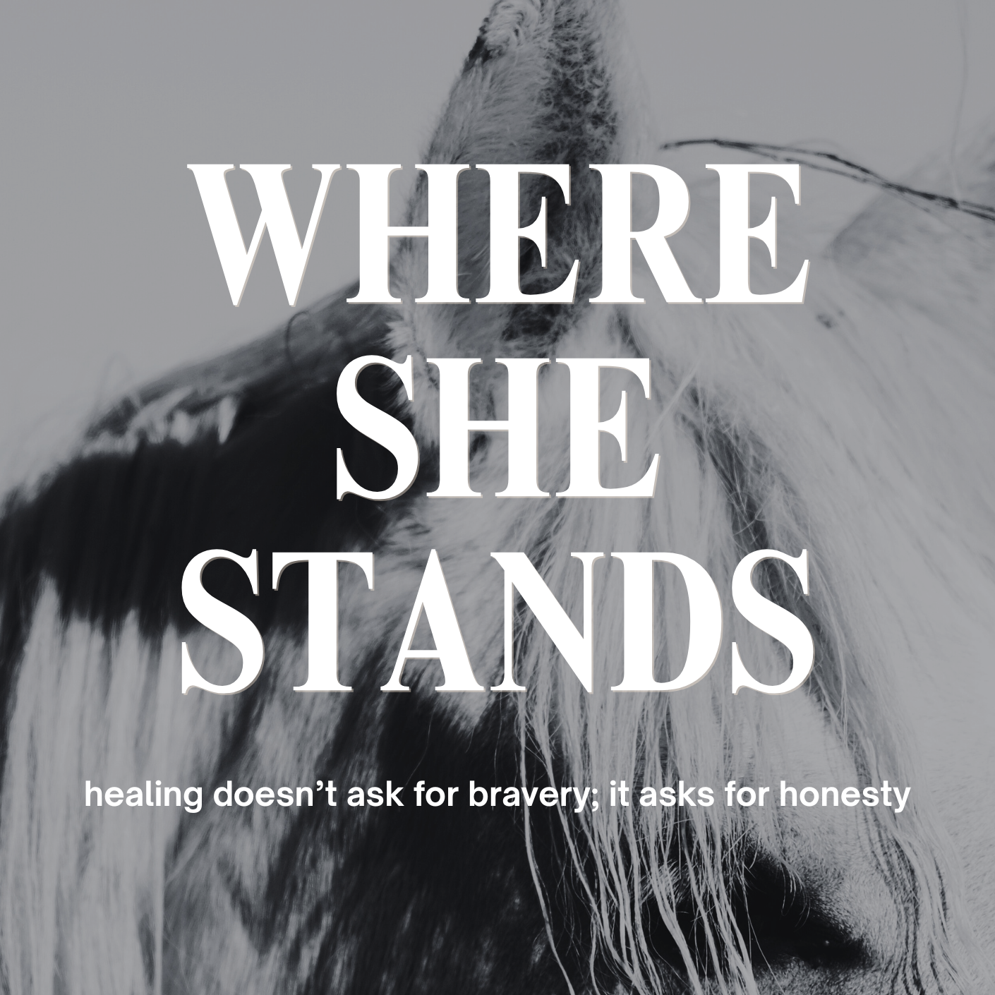 Close-up of a horse's face with text overlay reading 'Where She Stands' and a quote 'healing doesn't ask for bravery; it asks for honesty'