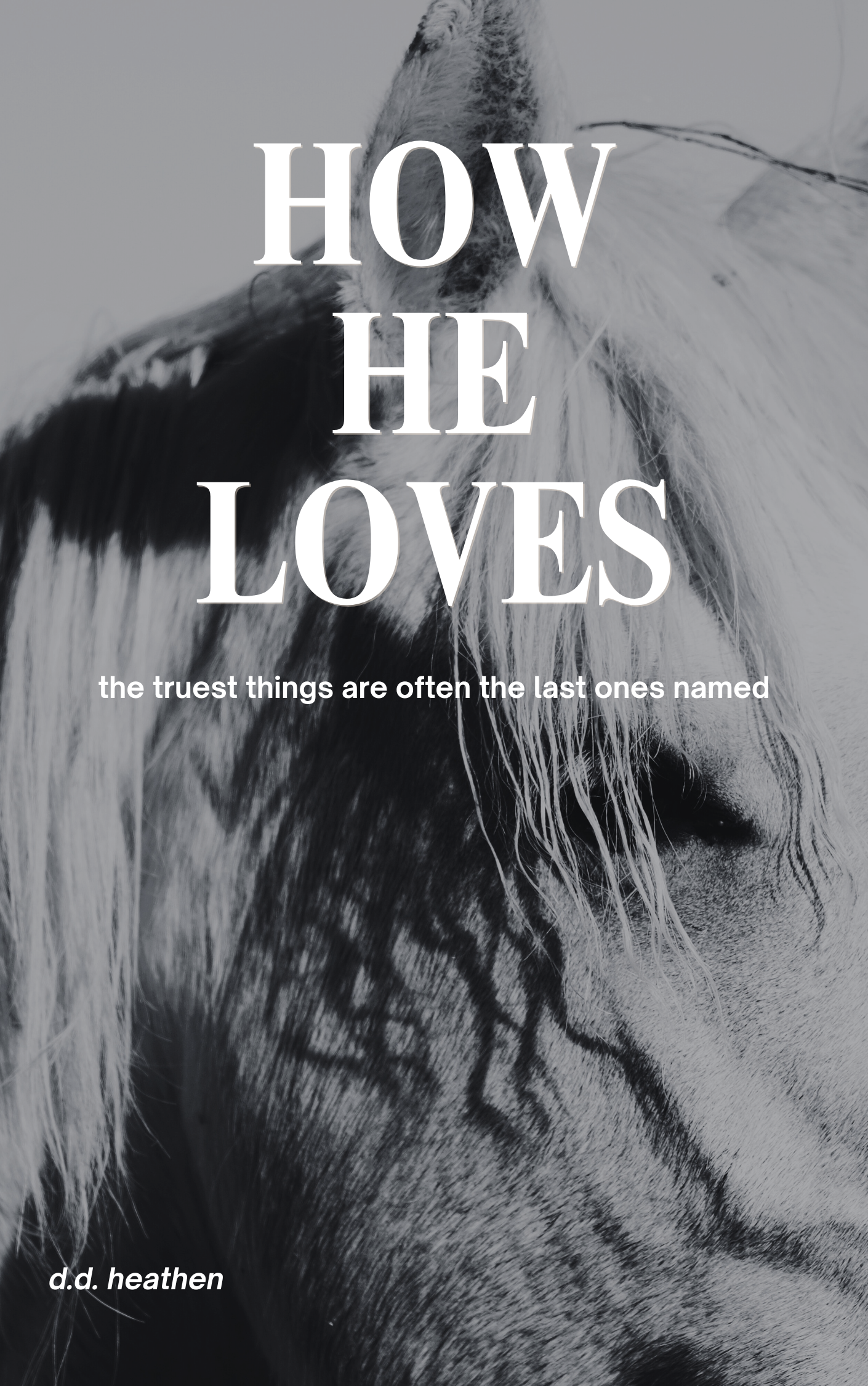 Close-up of a horse's face with the quote 'the trusted things are often the last ones named' overlaid.