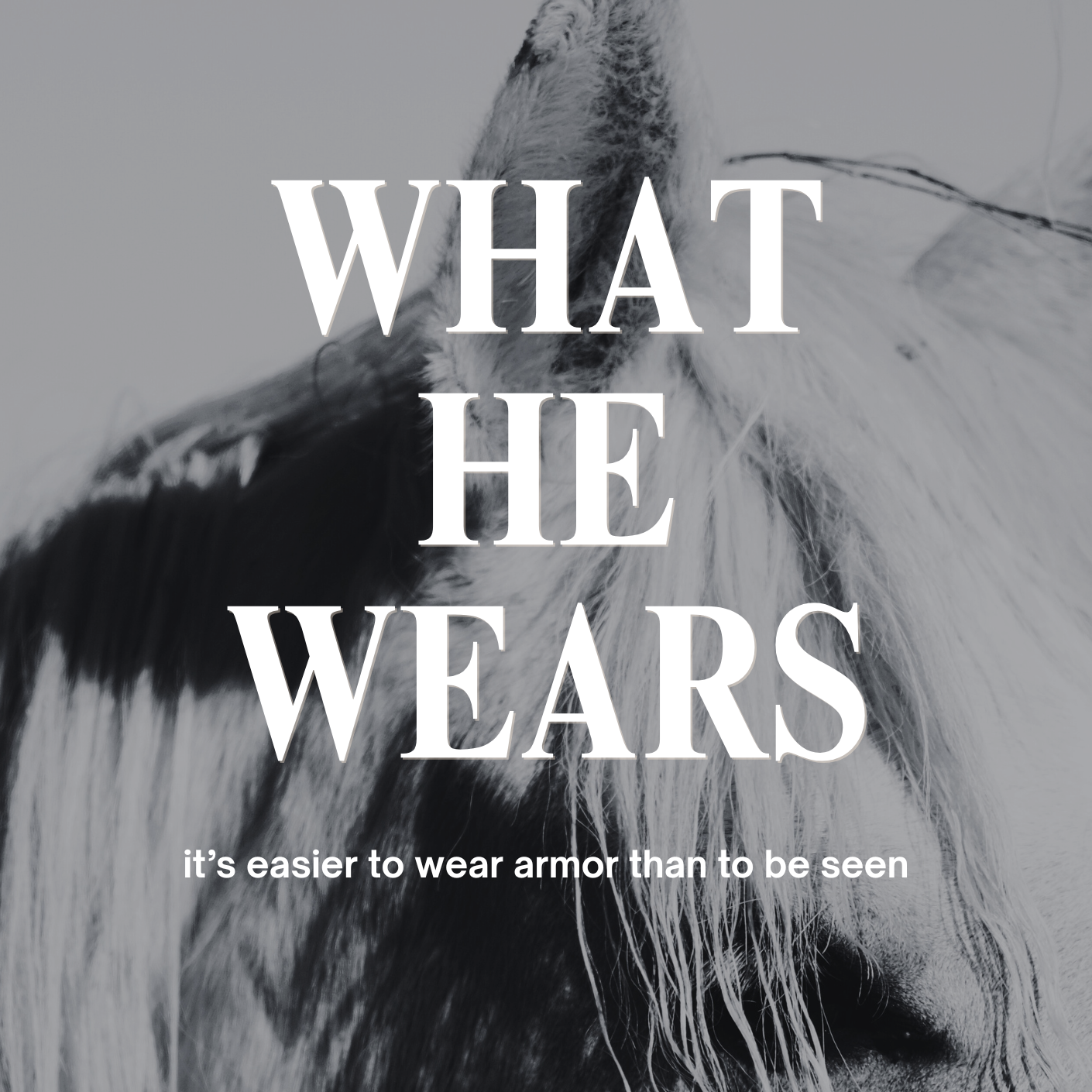 Close-up of a horse's face with a motivational quote: 'What he wears, it's easier to wear armor than to be seen'.