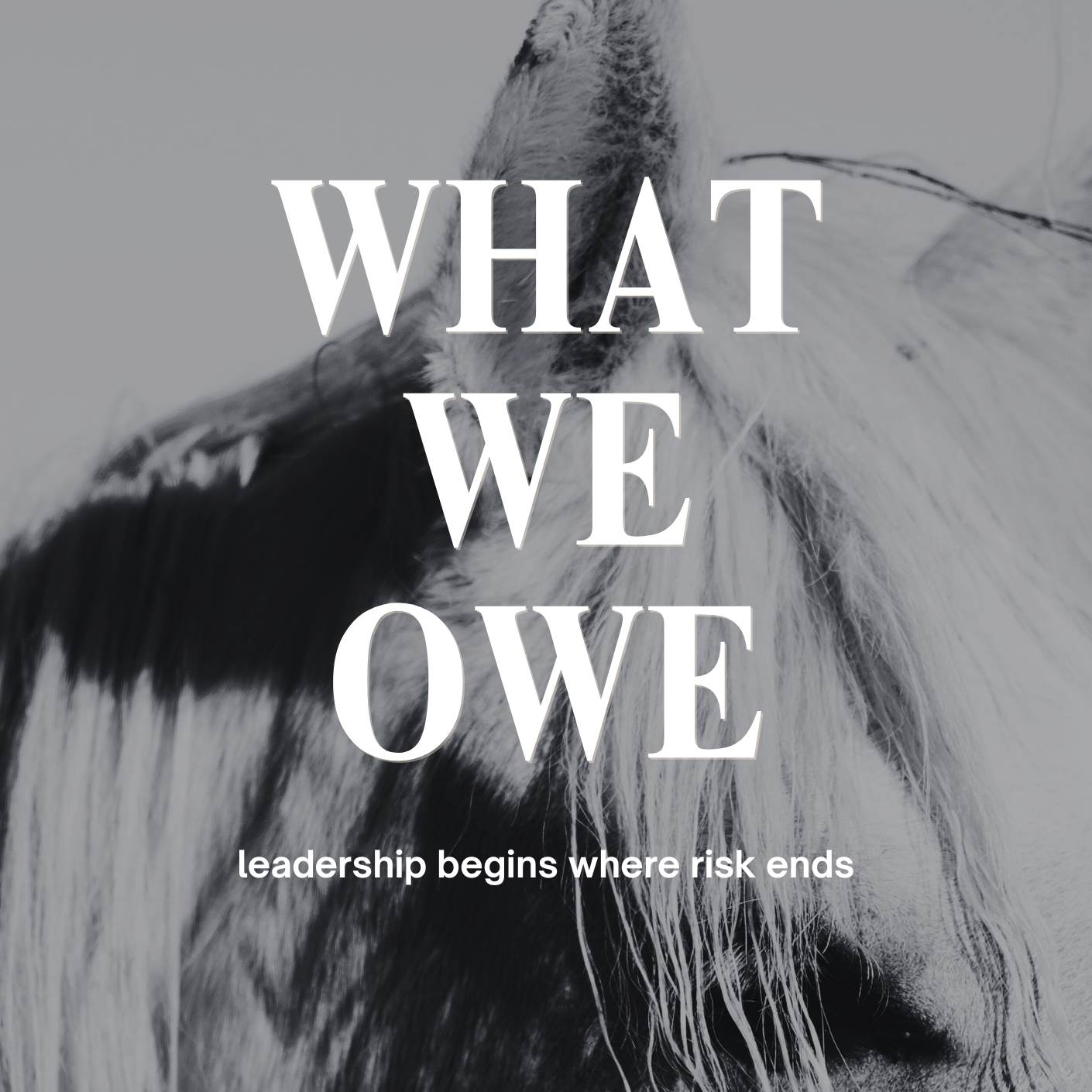 Close-up black and white photograph of a horse's face with text overlay that reads 'What We Owe' and a subtitle 'leadership begins where risk ends'.