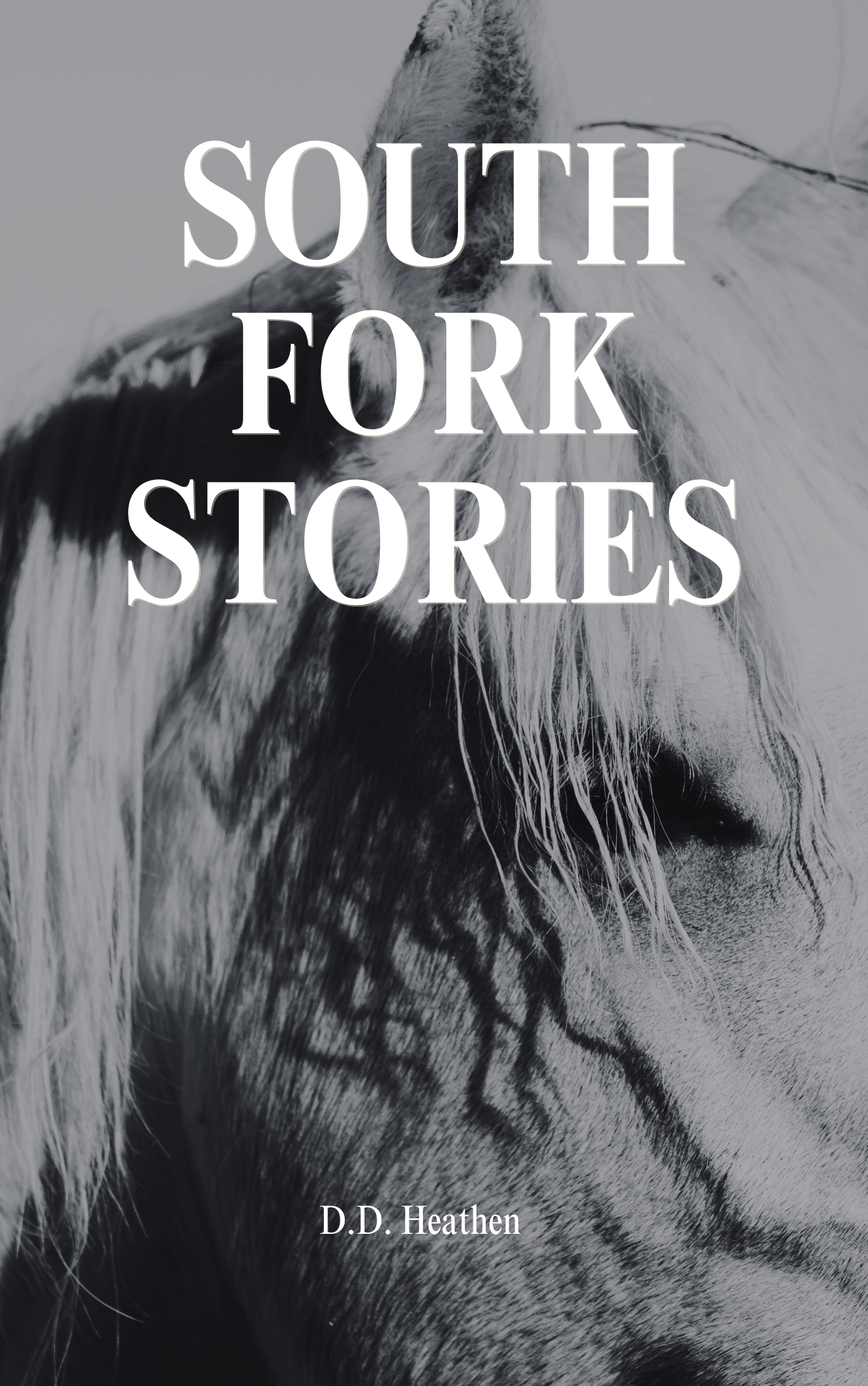 South Fork Stories