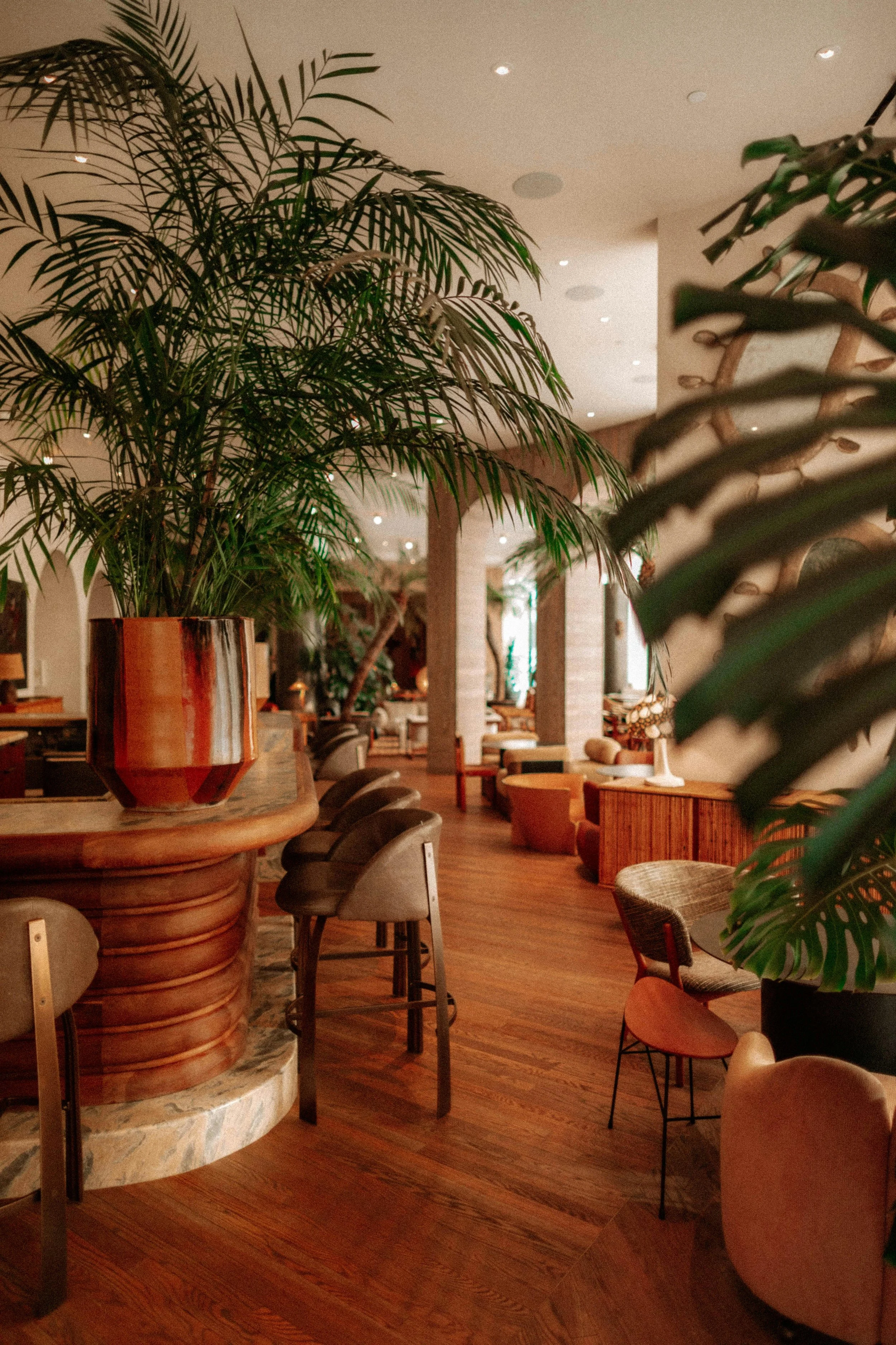 A cozy hotel lobby with wooden floors, lush green potted plants, and comfortable seating areas with chairs and sofas.