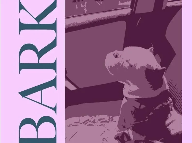 Athena's Data Selfie