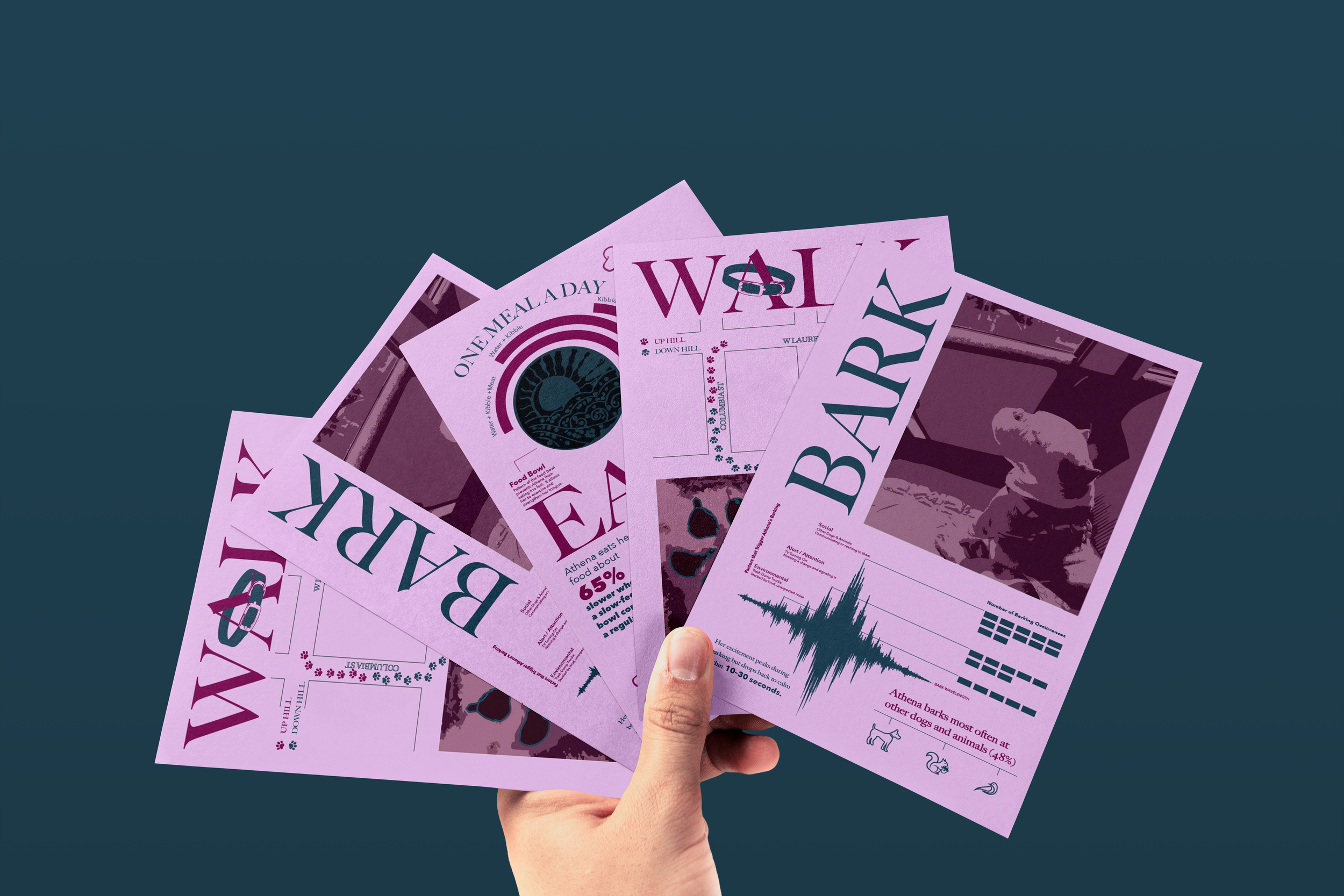 Athena's Data Selfie