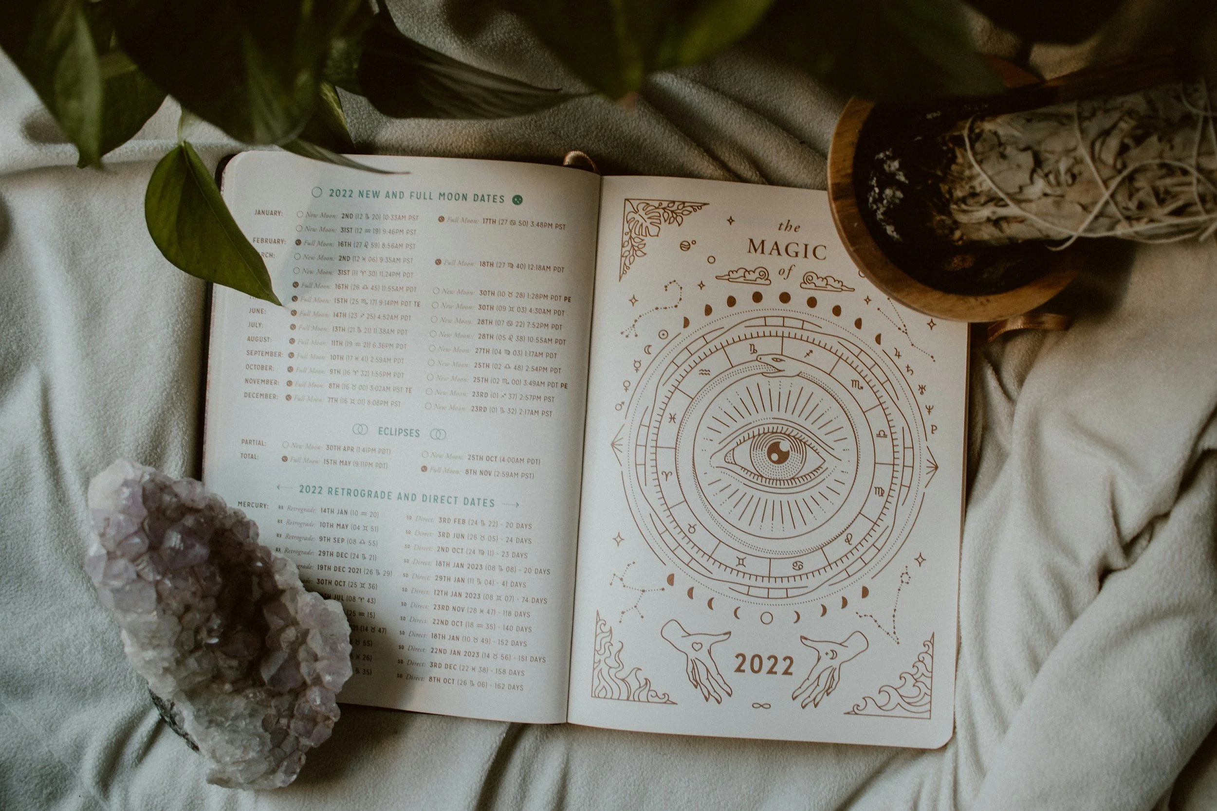 Open astrology book displaying moon phases and zodiac signs on a white fabric surface, surrounded by a potted plant, rocks, and crystals.