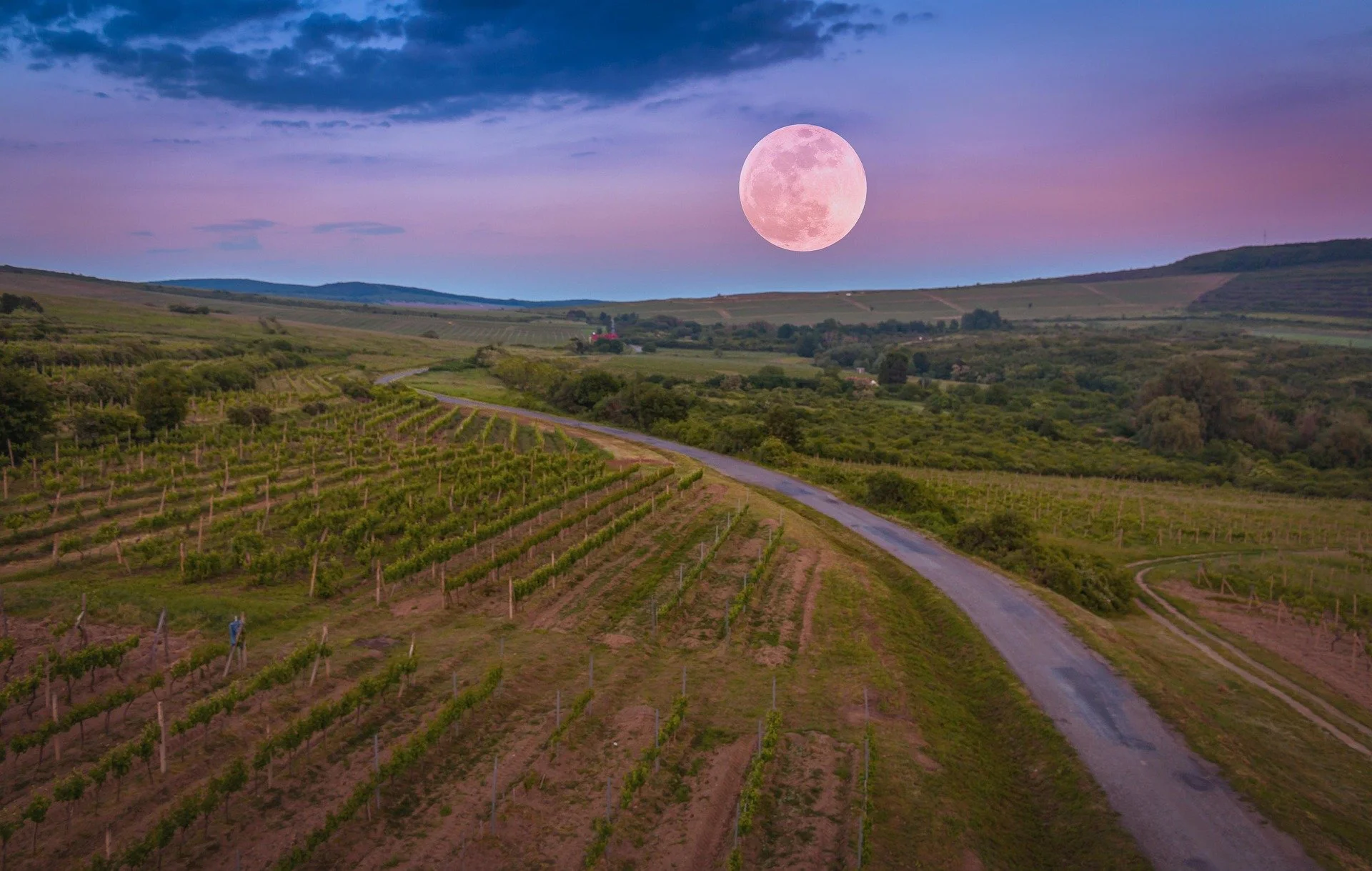 The Taurus New Moon, May 16, 2026
