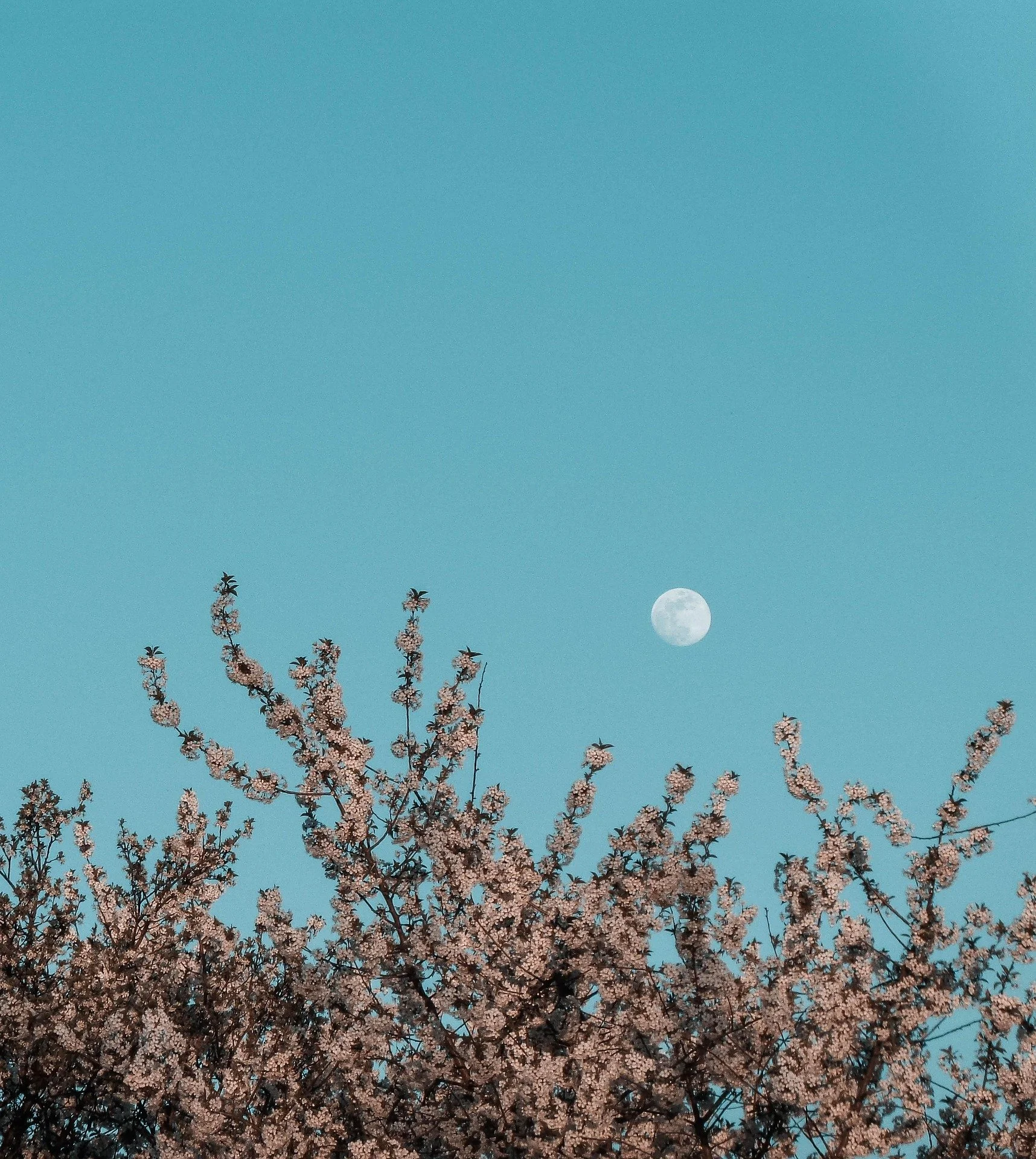 The Gemini New Moon, June 14, 2026