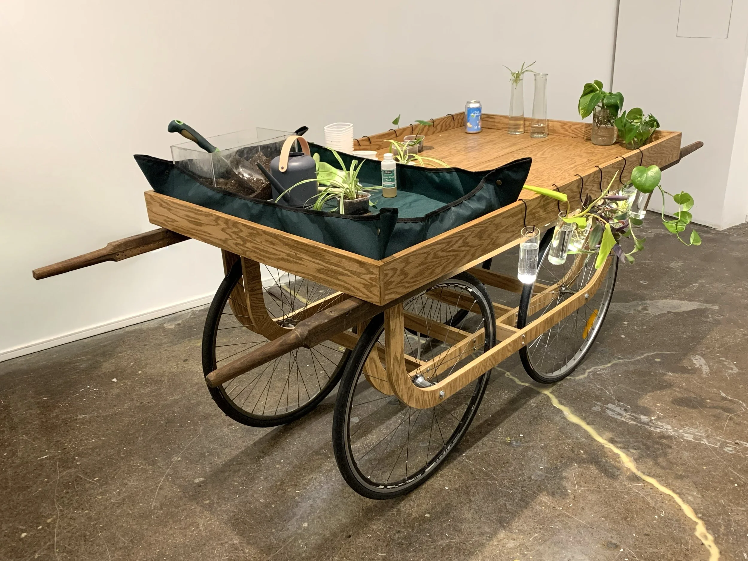 Haath Gadi Cart_Tulika.jpg