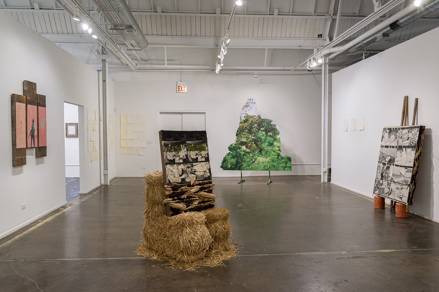 Thrown Stone, Spitten Image, Chicago Artists Coalition, Chicago (2019)