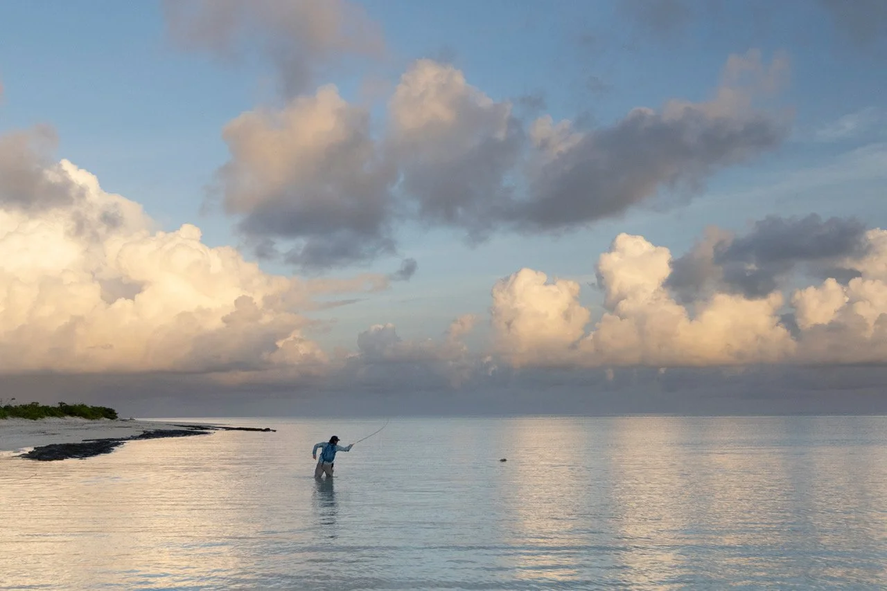 Drew Chicone fishing flats during cloudy day with lush coastline in the background.