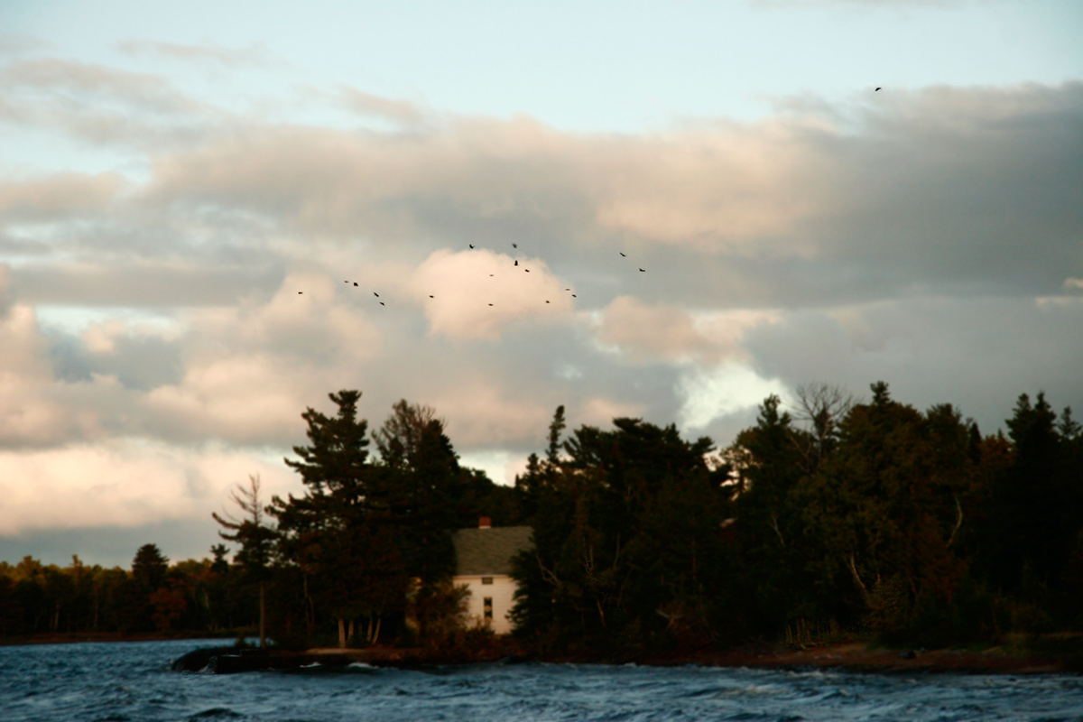 LakeHouseAndBirds.png