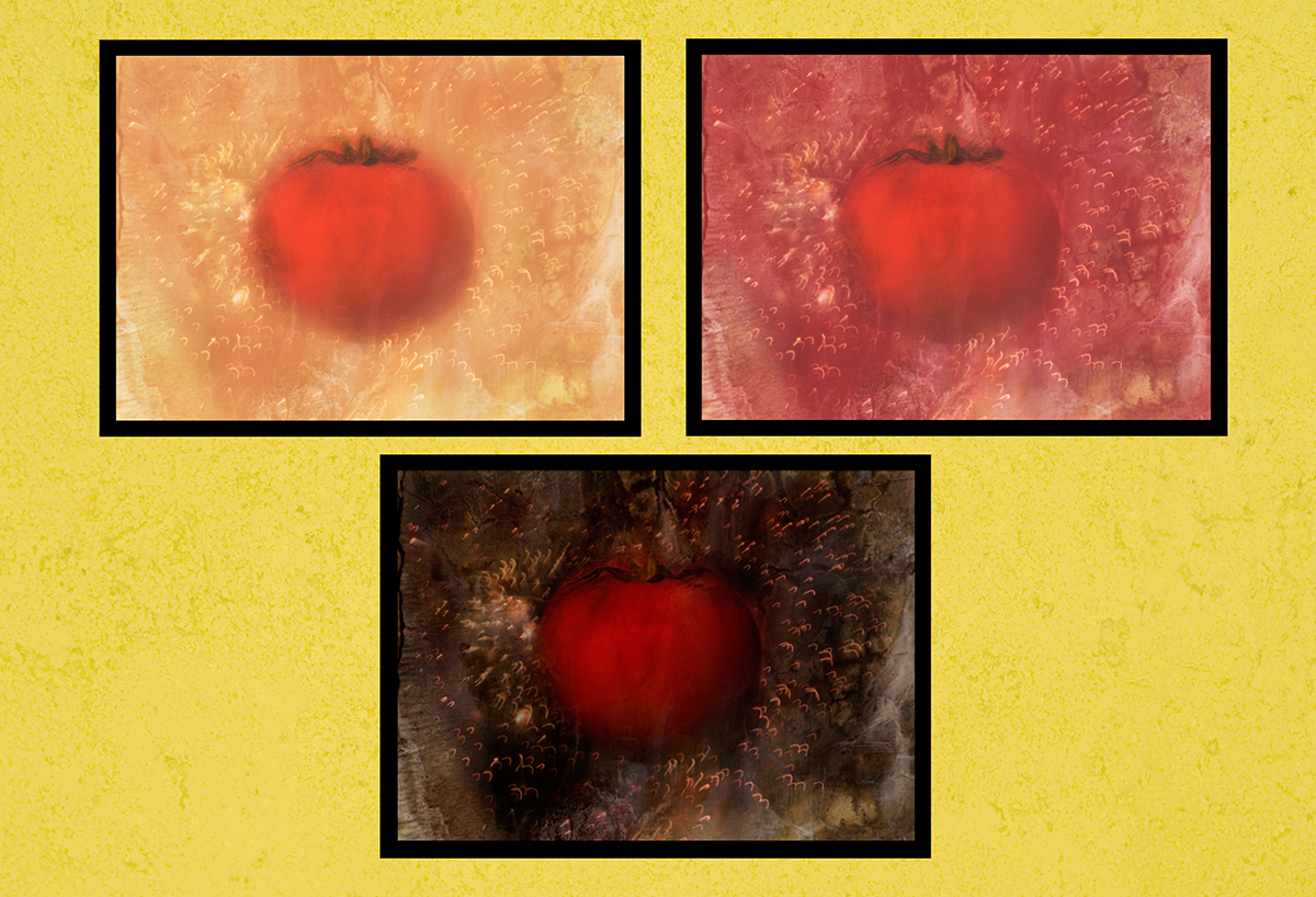3Tomatoes.png