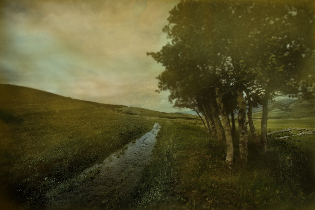 MontanaStream.png