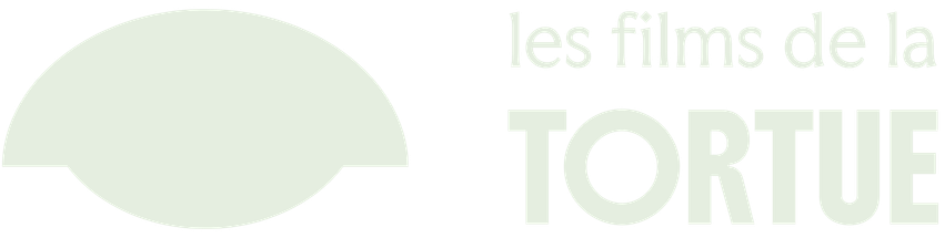 Les films de la tortue