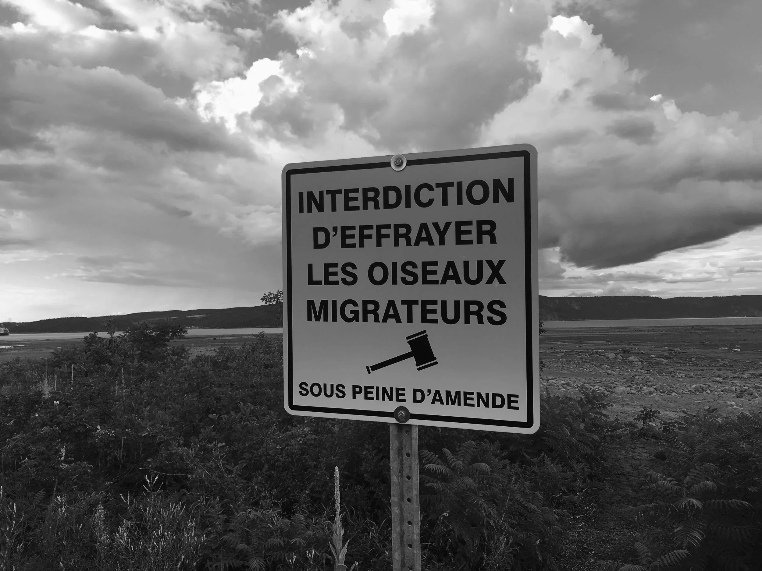 Derniere-Station_Photos_2.jpg