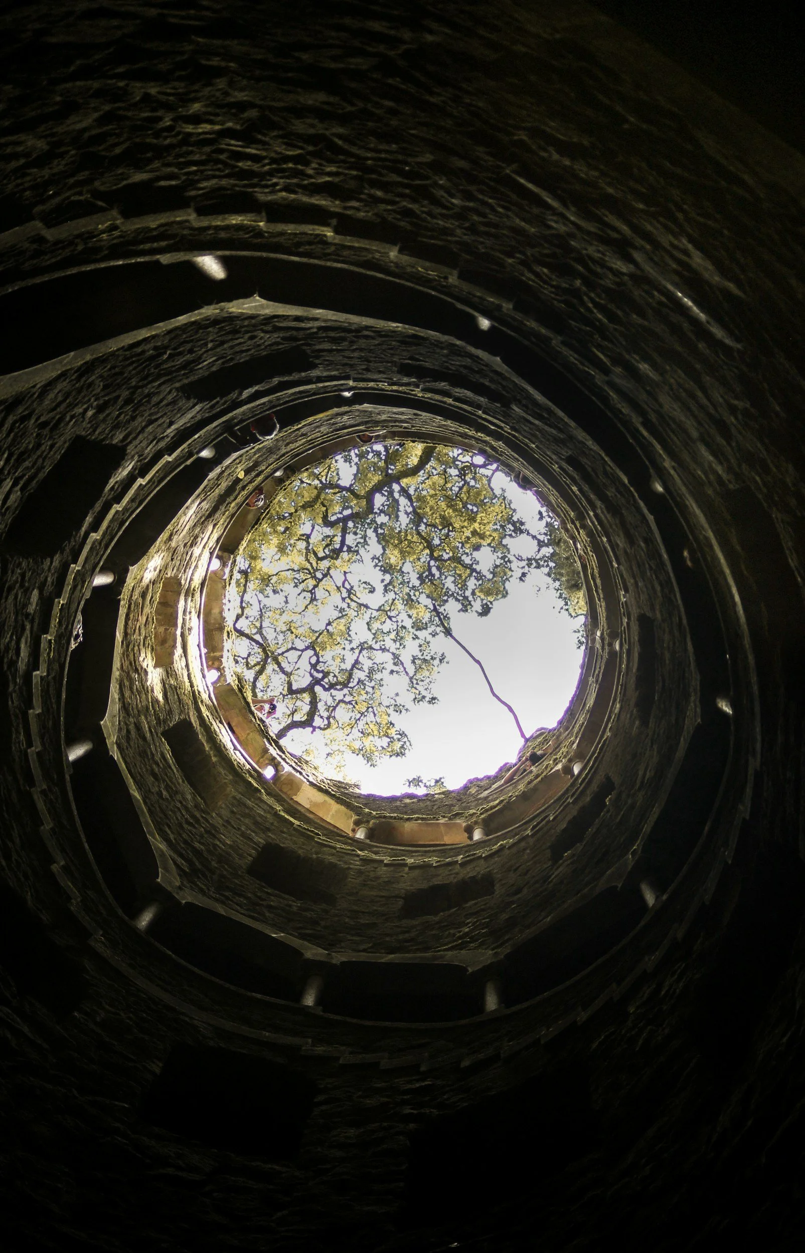 Looking up from the bottom of a stone well or tower toward the sky, showing the circular opening with a view of tree branches and sky.