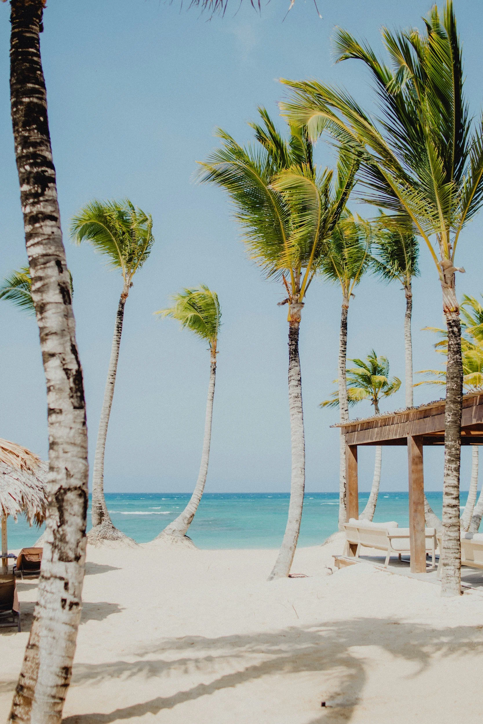 A tropical beach scene with tall palm trees, white sandy beach, and turquoise ocean under a clear blue sky.