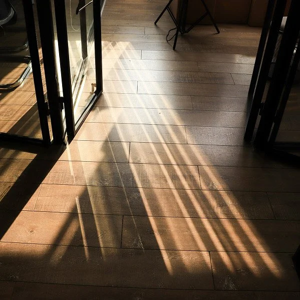 therapist professional development