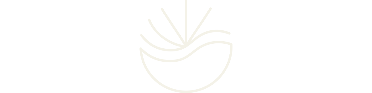 therapist professional development