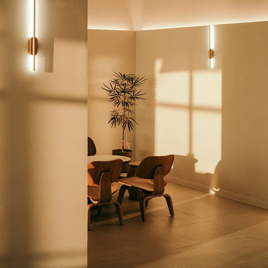 somatic therapy workshops