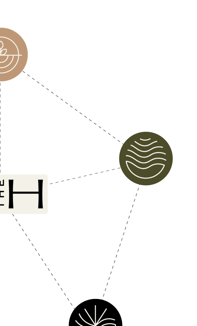 somatic awareness training florida