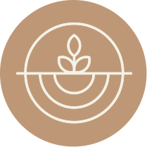 somatic leadership retreat south florida