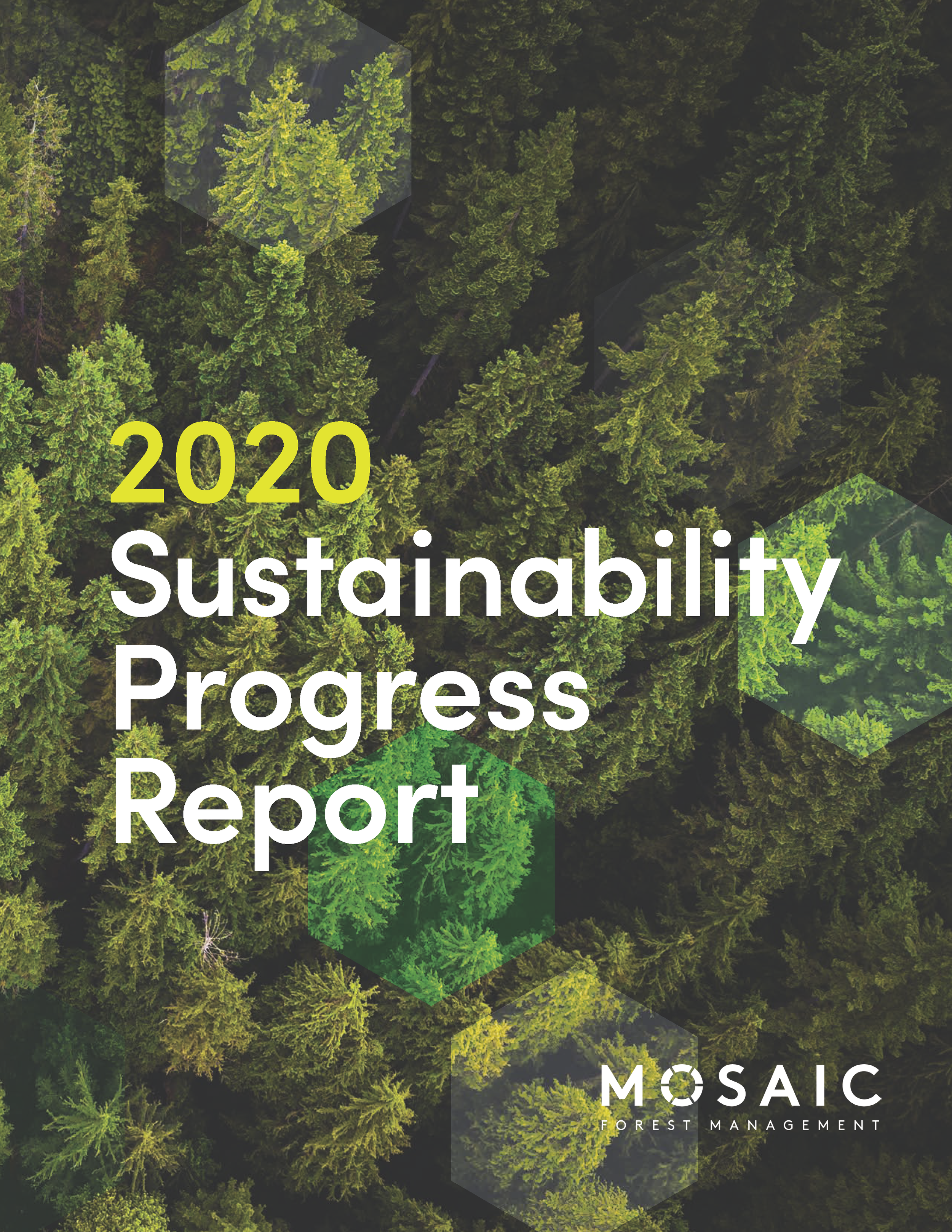 Aerial view of a dense forest with the cover text '2020 Sustainability Progress Report' and the logo 'MOSAIC Forest Management'.