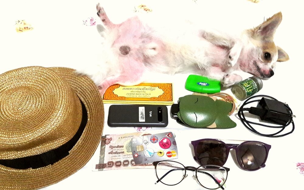 A small dog lying on its back next to various personal items including a straw hat, a smartphone, a green spray bottle, sunglasses, a comic book, a camera, a keychain, a power adapter, a small jar, and a fishing lure.