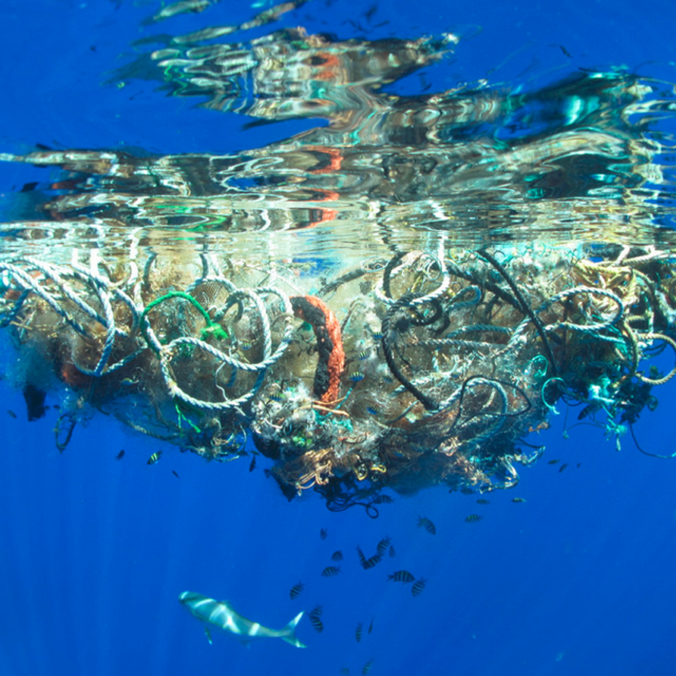 Underwater view of a pile of discarded ropes, plastic debris, and trash in the ocean, with a fish swimming beneath.