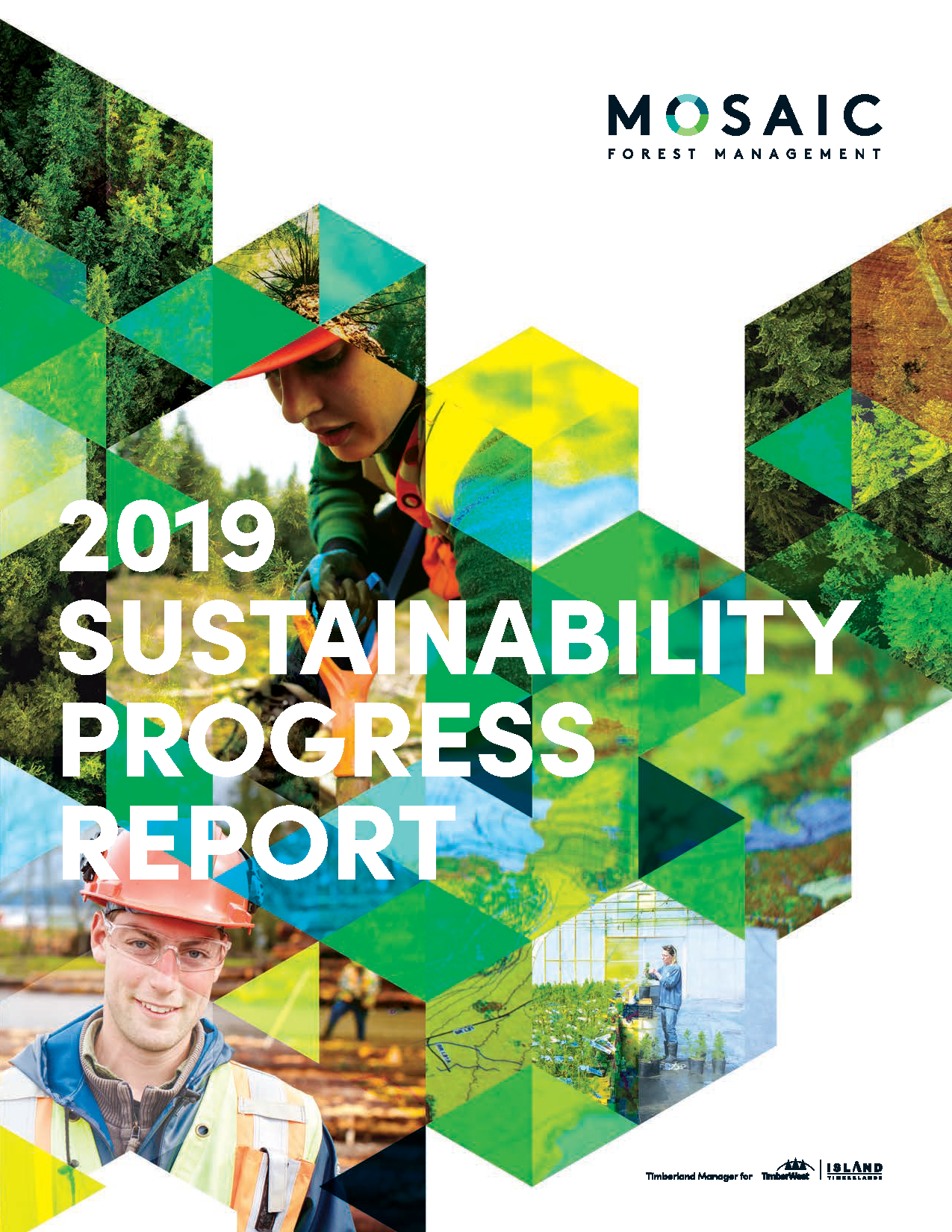 Cover of the 2019 Sustainability Progress Report featuring images of forestry workers, trees, and green landscapes with geometric overlays.