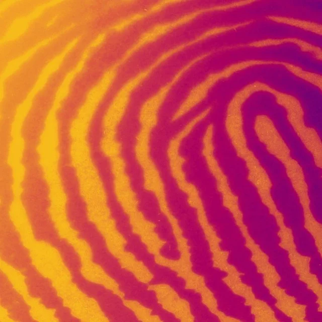 Close-up of a fingerprint in yellow and purple colors.