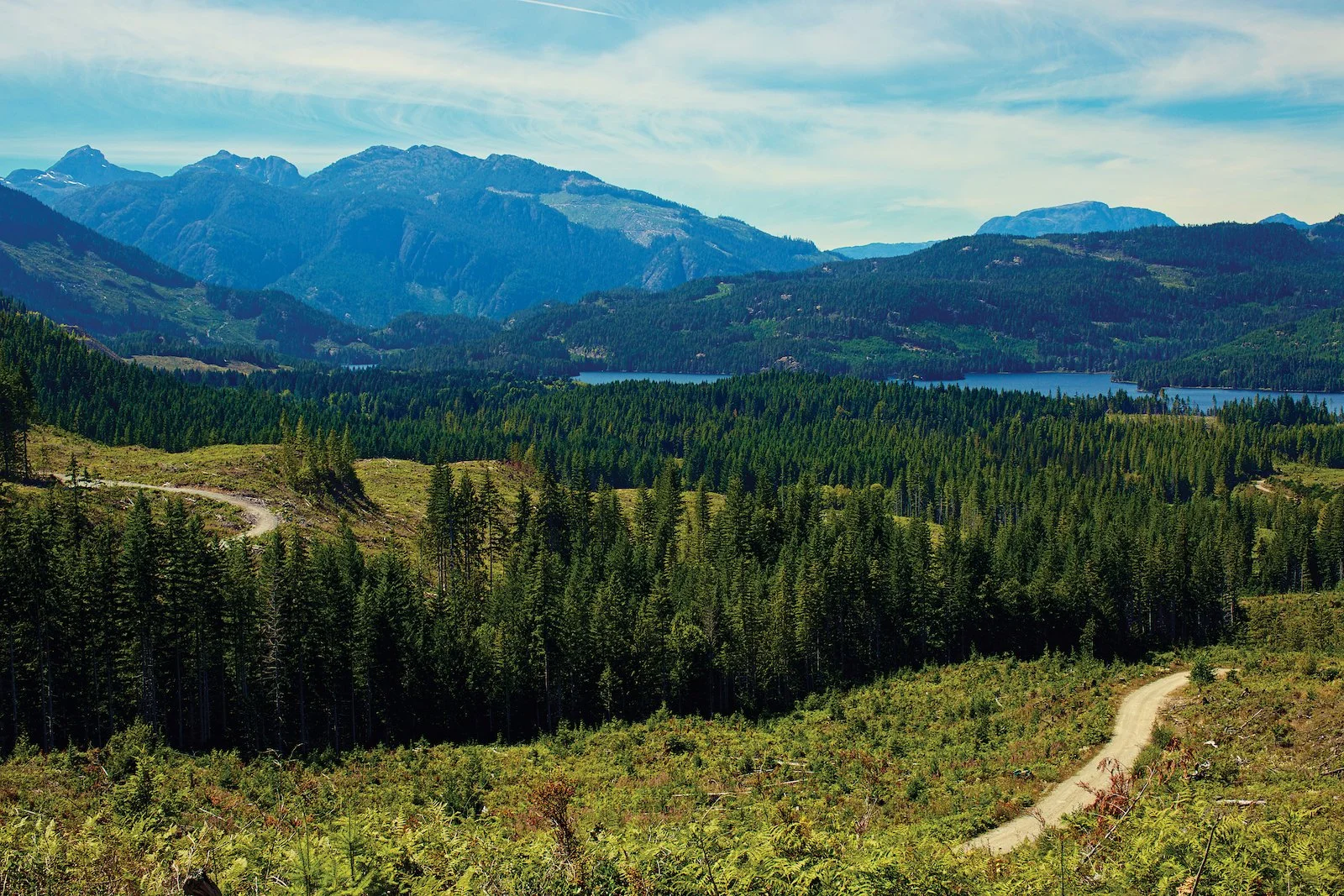 Scenic view of a lush green forest with a winding dirt path, overlooking a lake surrounded by mountains in the distance under a partly cloudy sky.