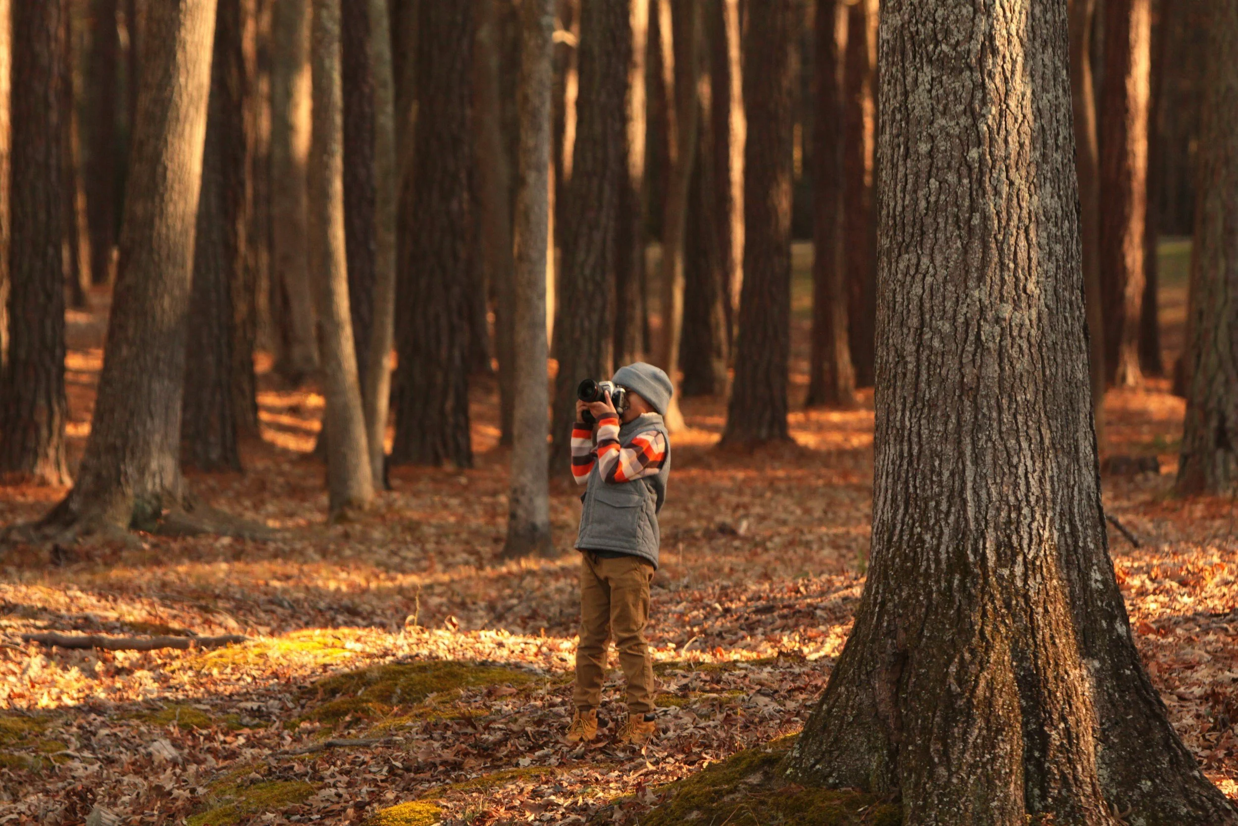 Woodland Wellbeing — Outdoor feel‑good days filled with gentle activities, observation and nature‑based play — perfect for both children and adults.