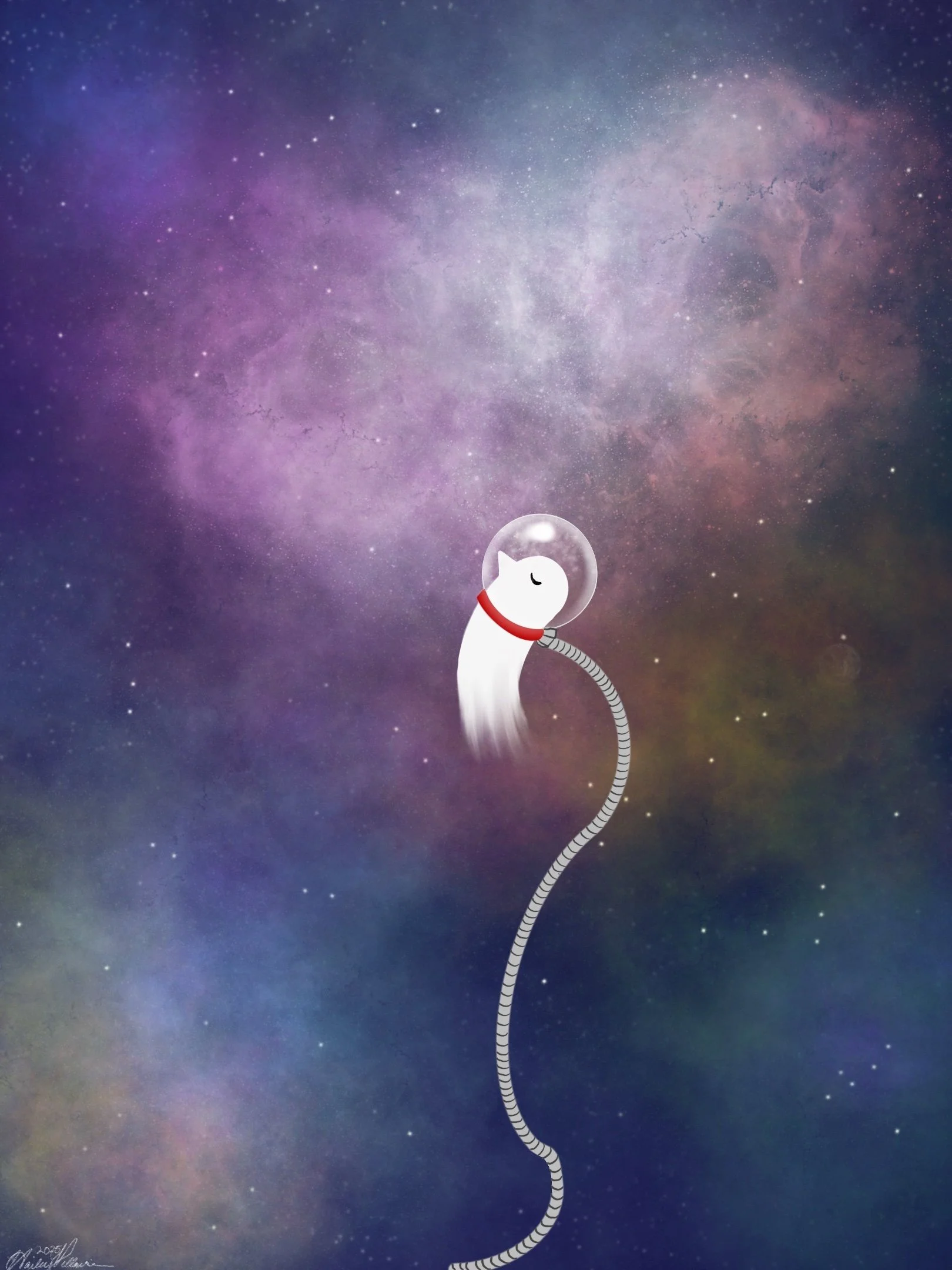 A whimsical illustration of a white cat with closed eyes, wearing a transparent space helmet, floating among stars and colorful nebulae in space, connected by a flexible hose to an unseen source.