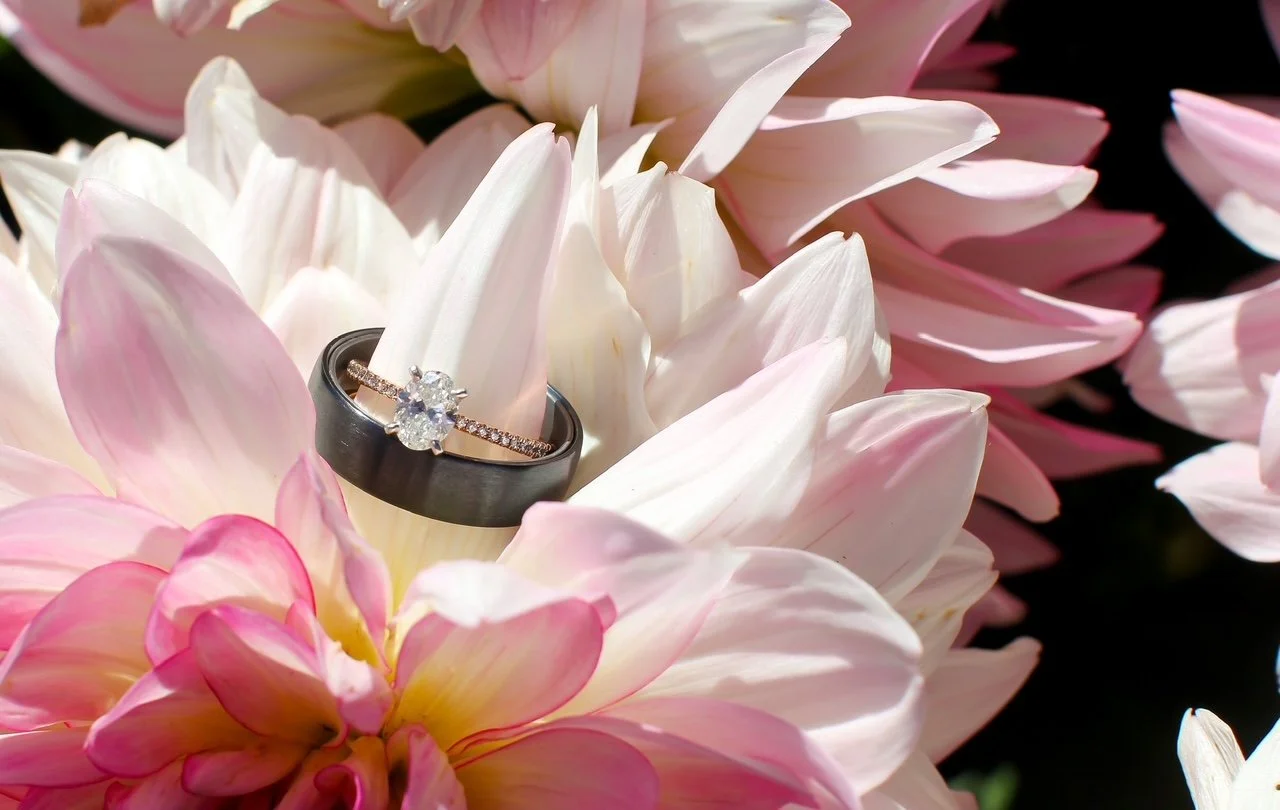 A close-up of pink and white dahlia flowers with a diamond engagement ring and a black wedding band resting on the petals.