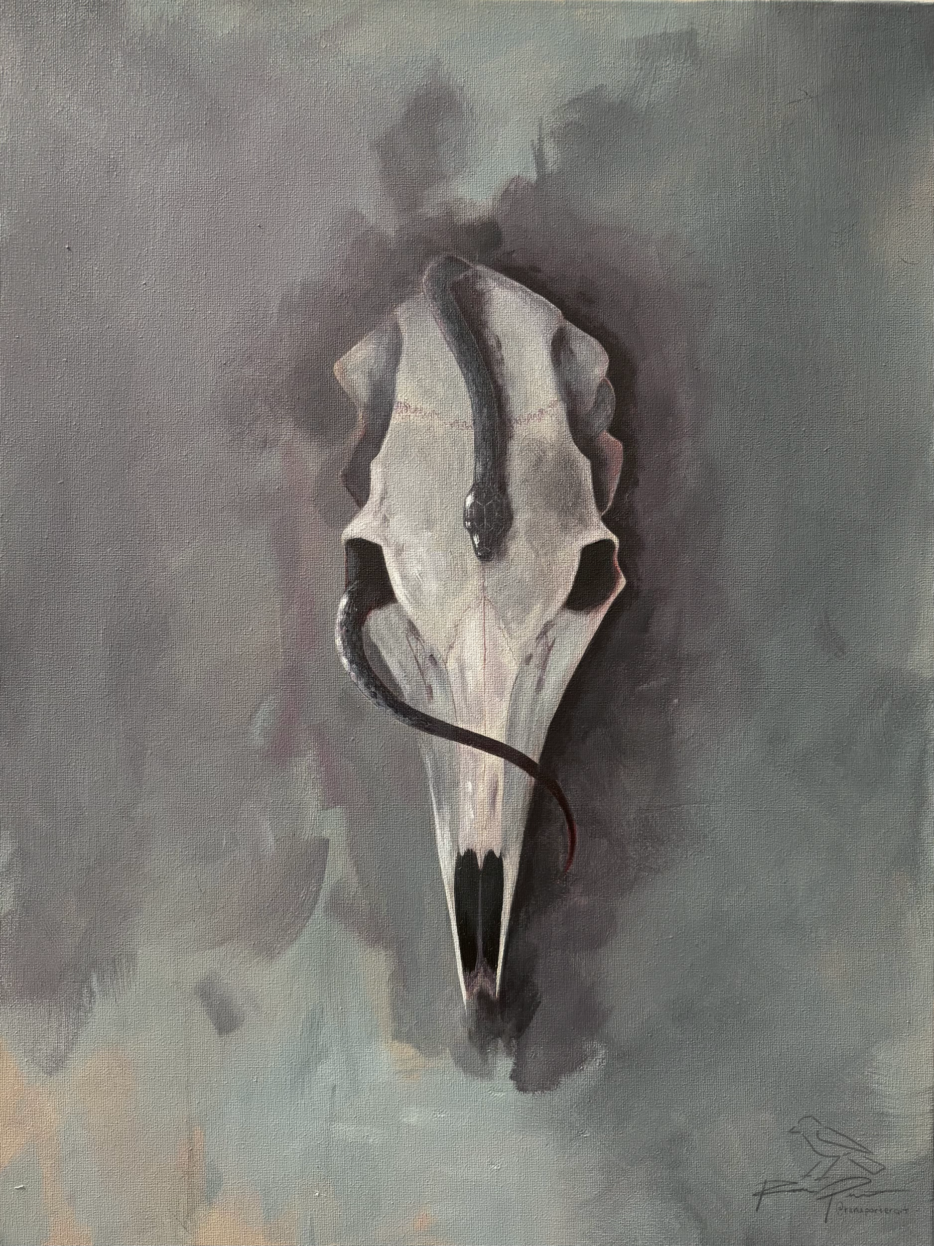 "Skull with Snake" Original Acrylic Painting