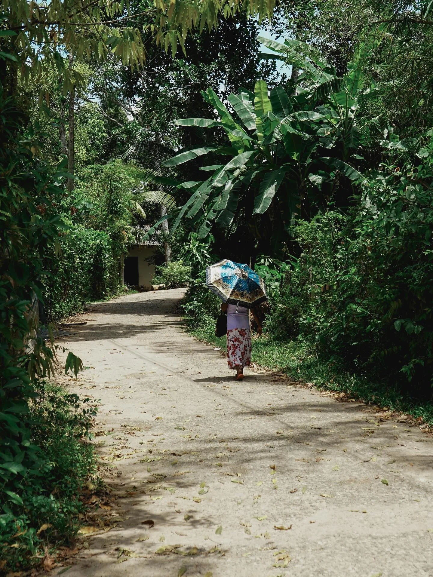 a flashback to sri lanka : the pearl of the indian ocean.